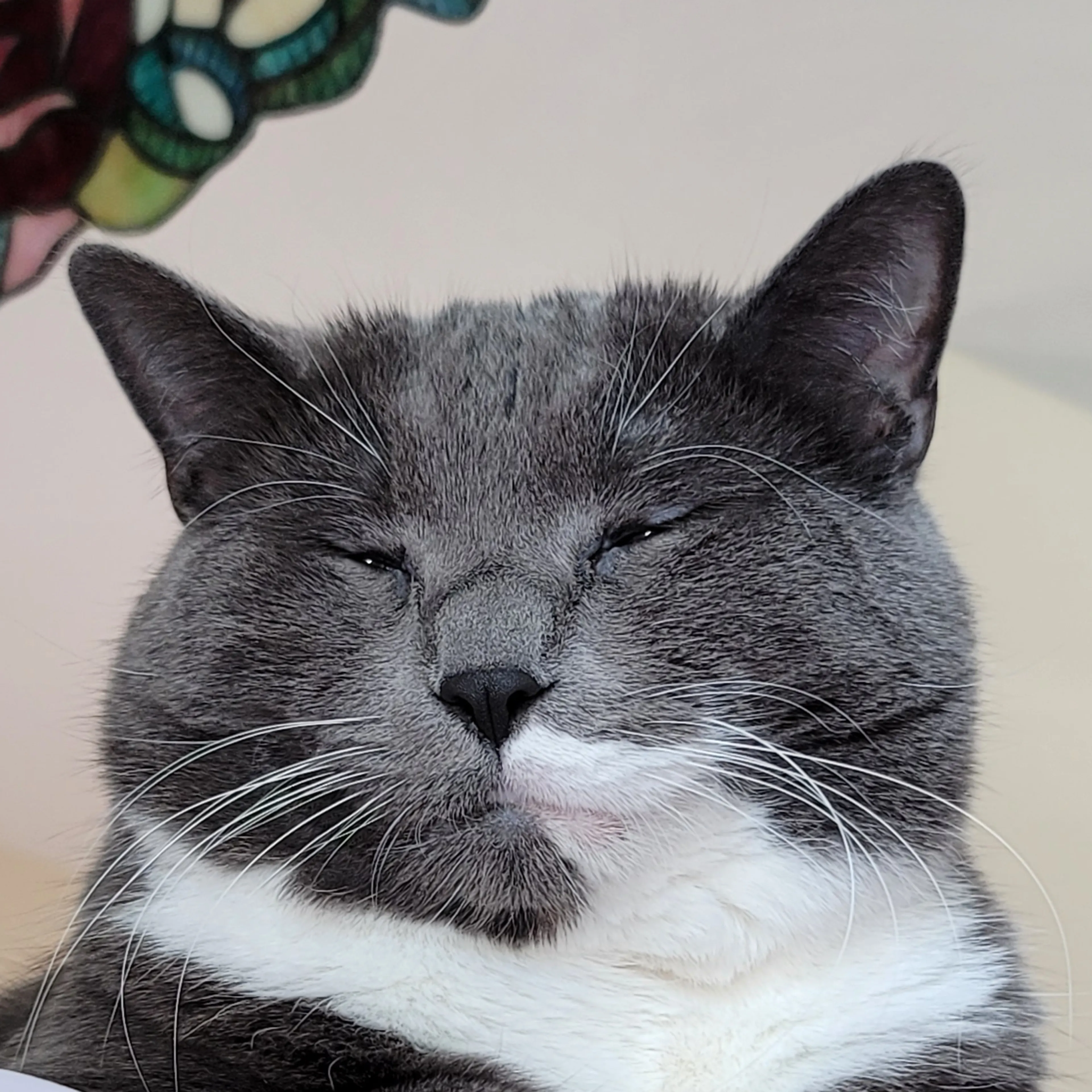 -2