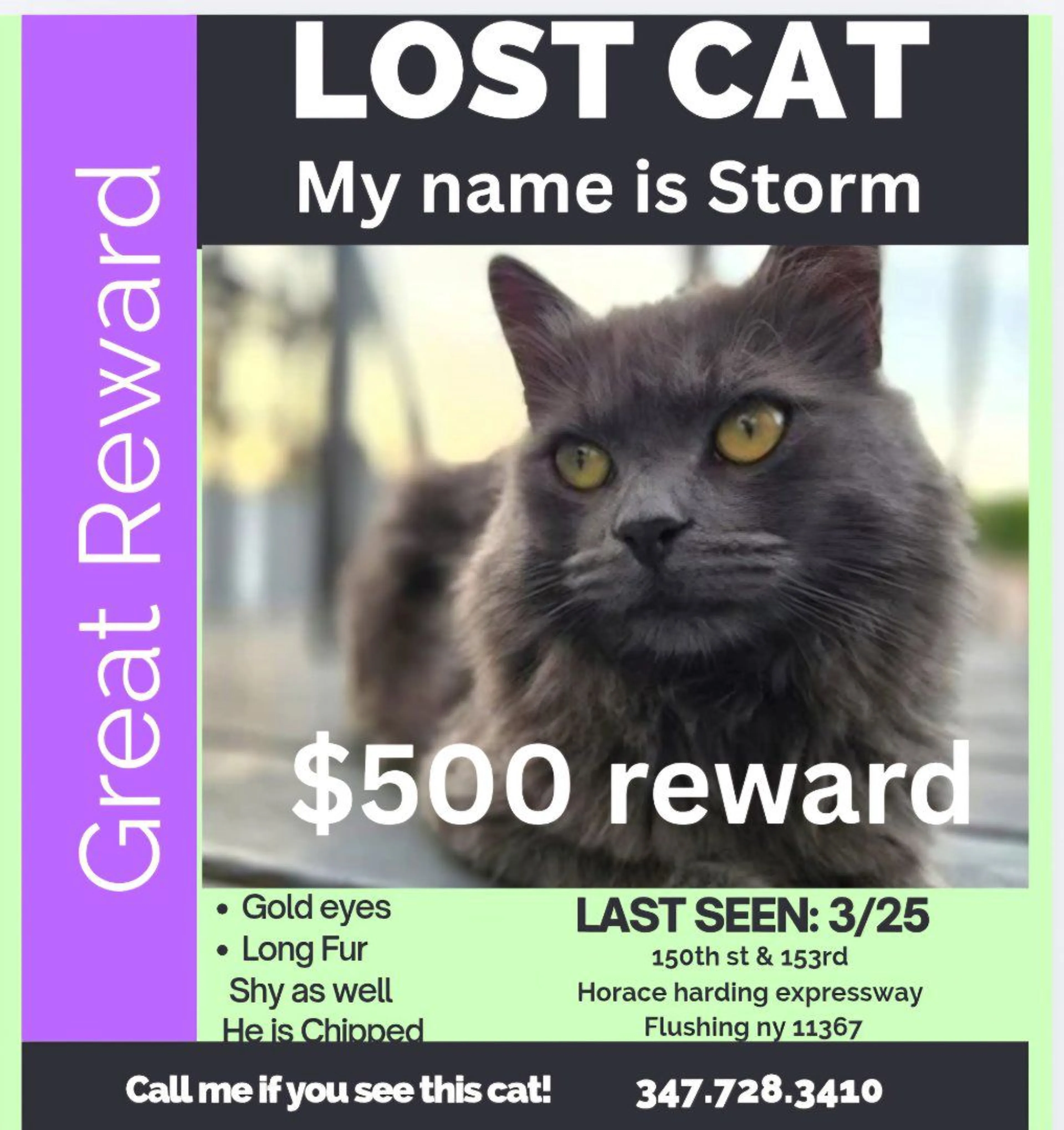 Lost pet