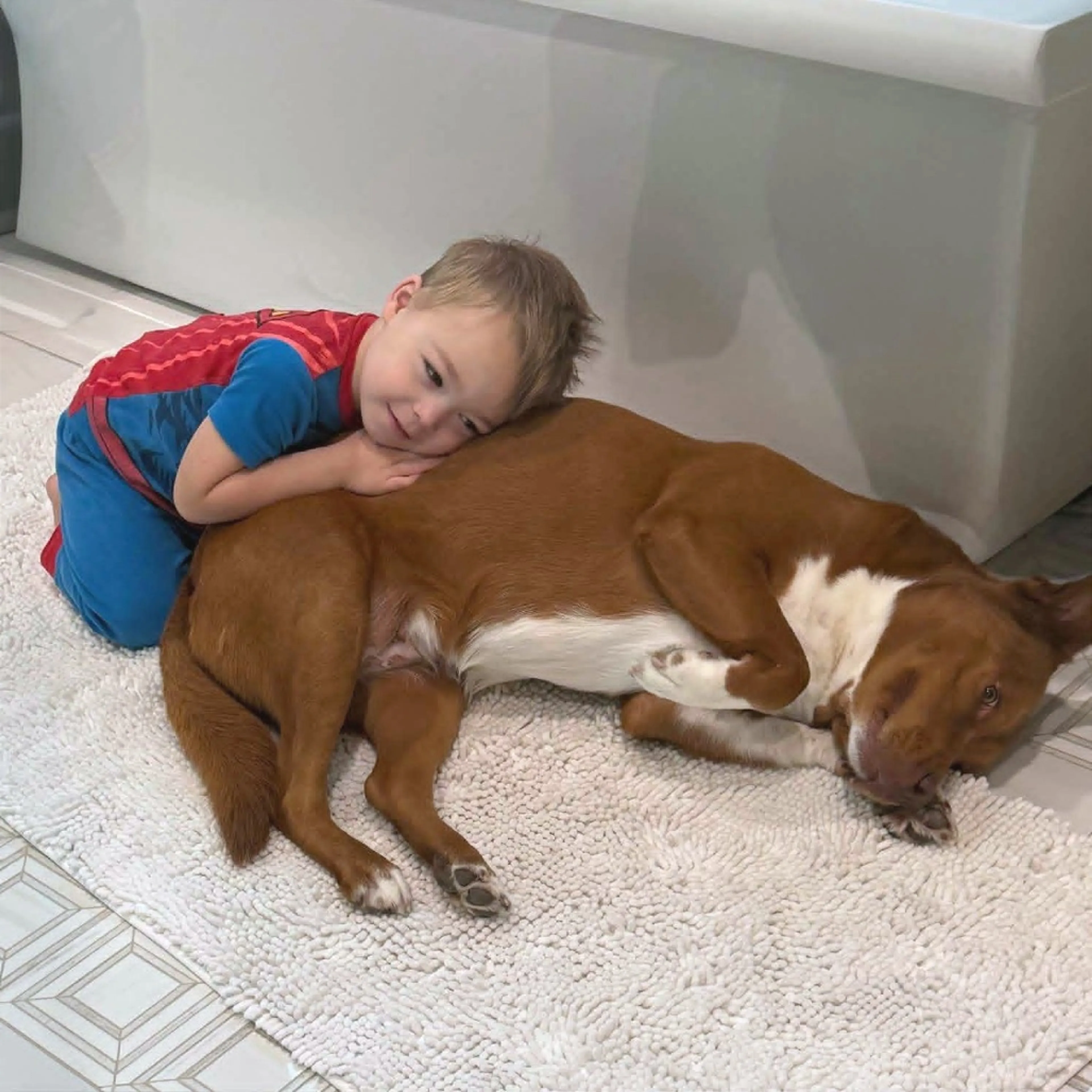 Found pet-5
