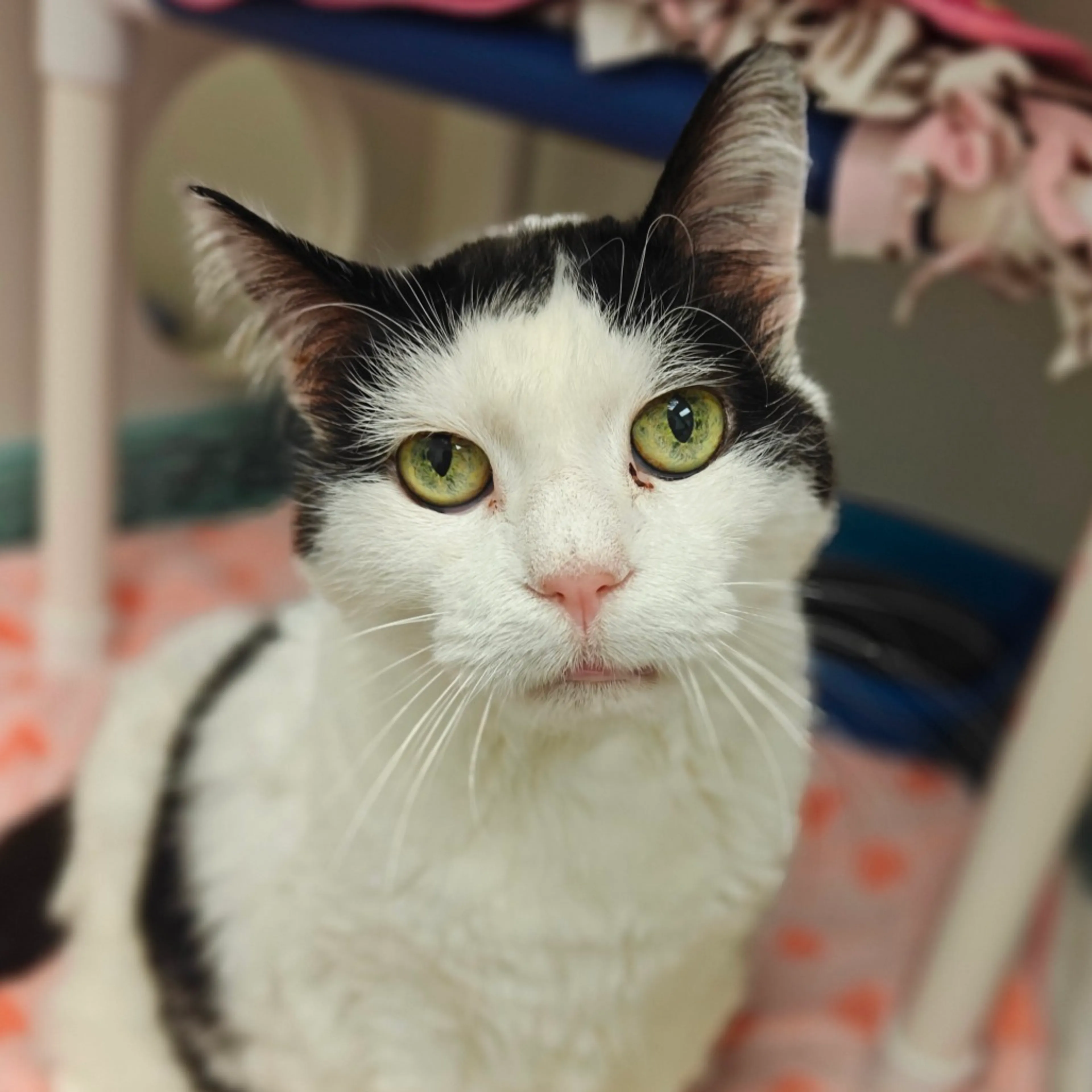 -3