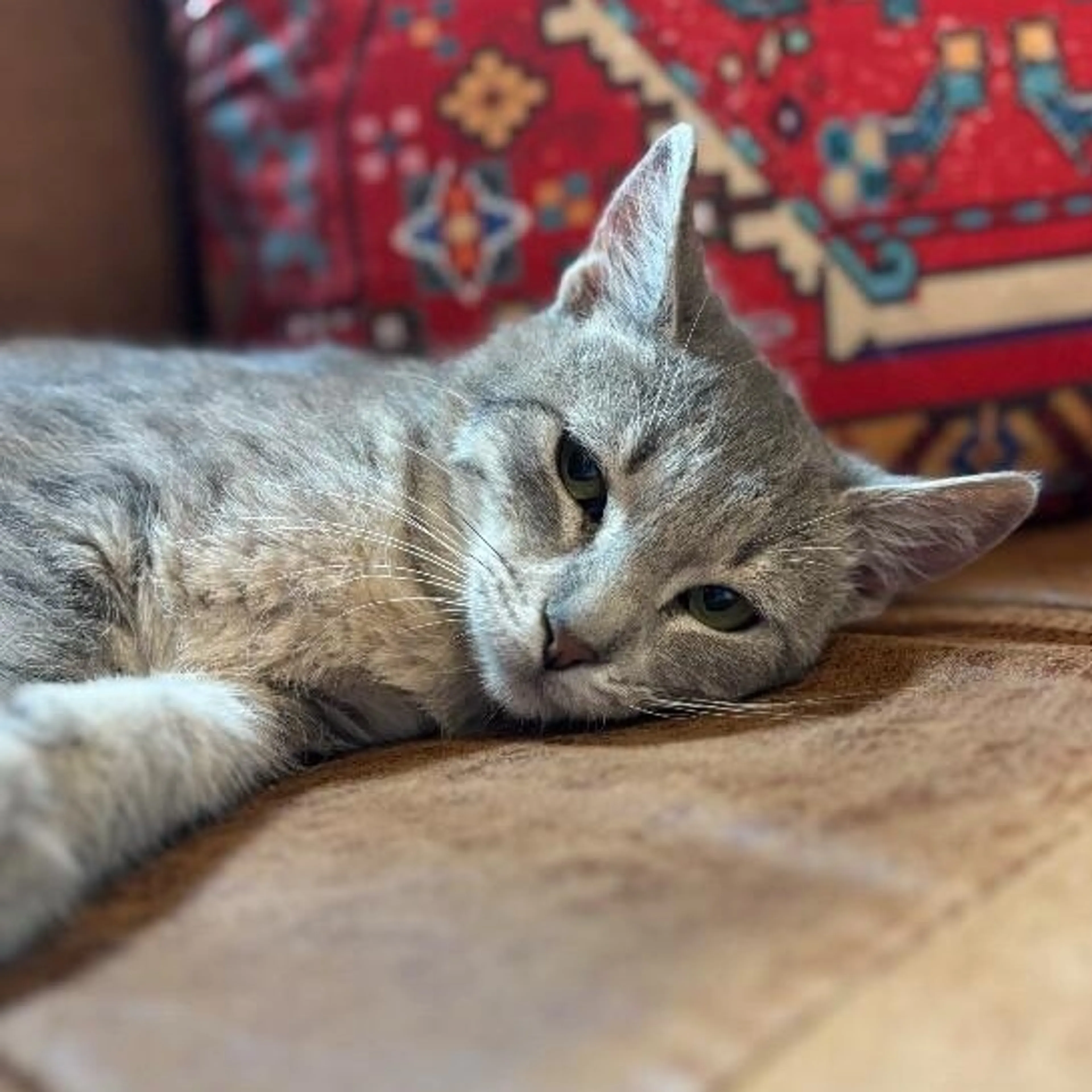 -3