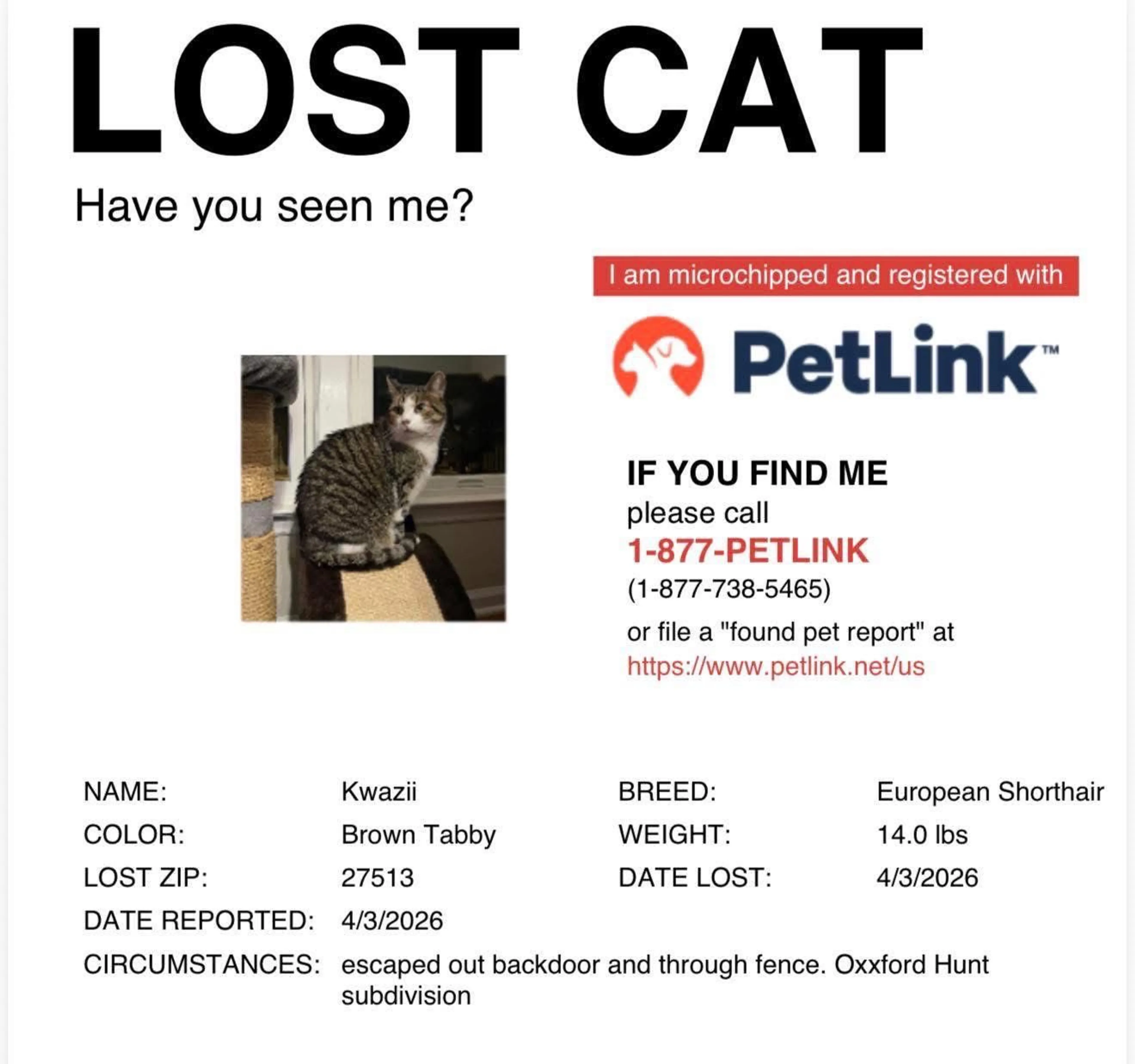 Lost pet
