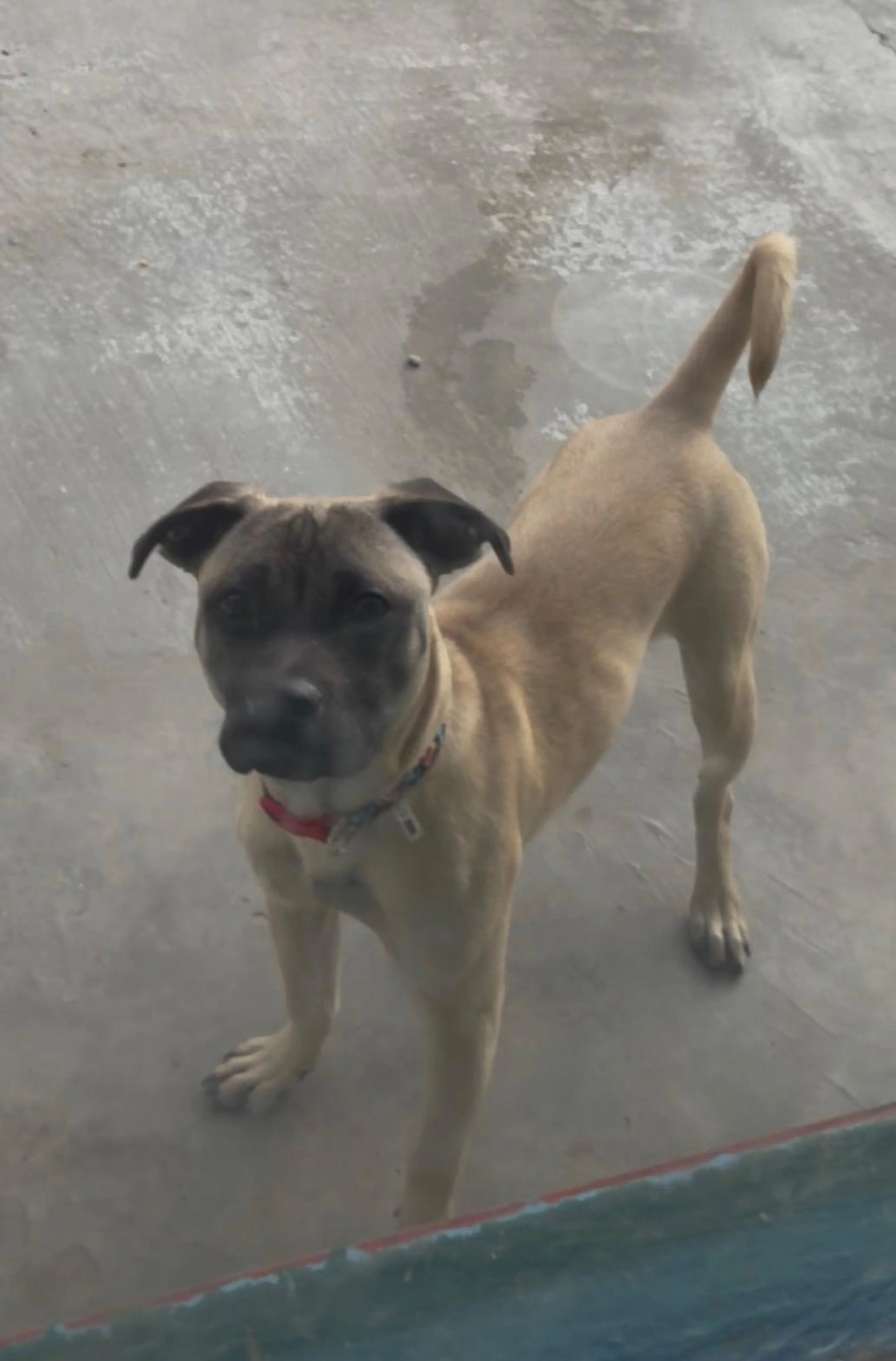 -2