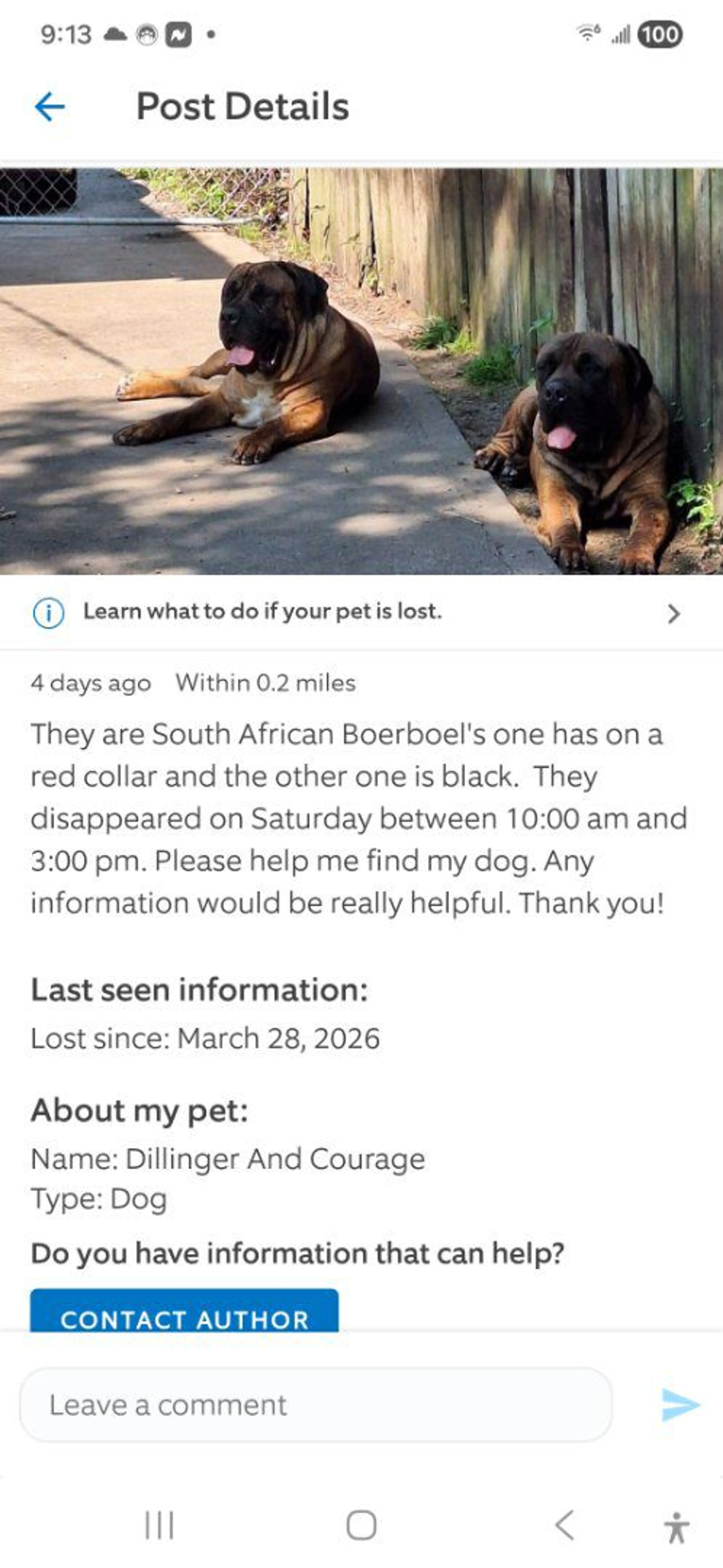 Lost pet