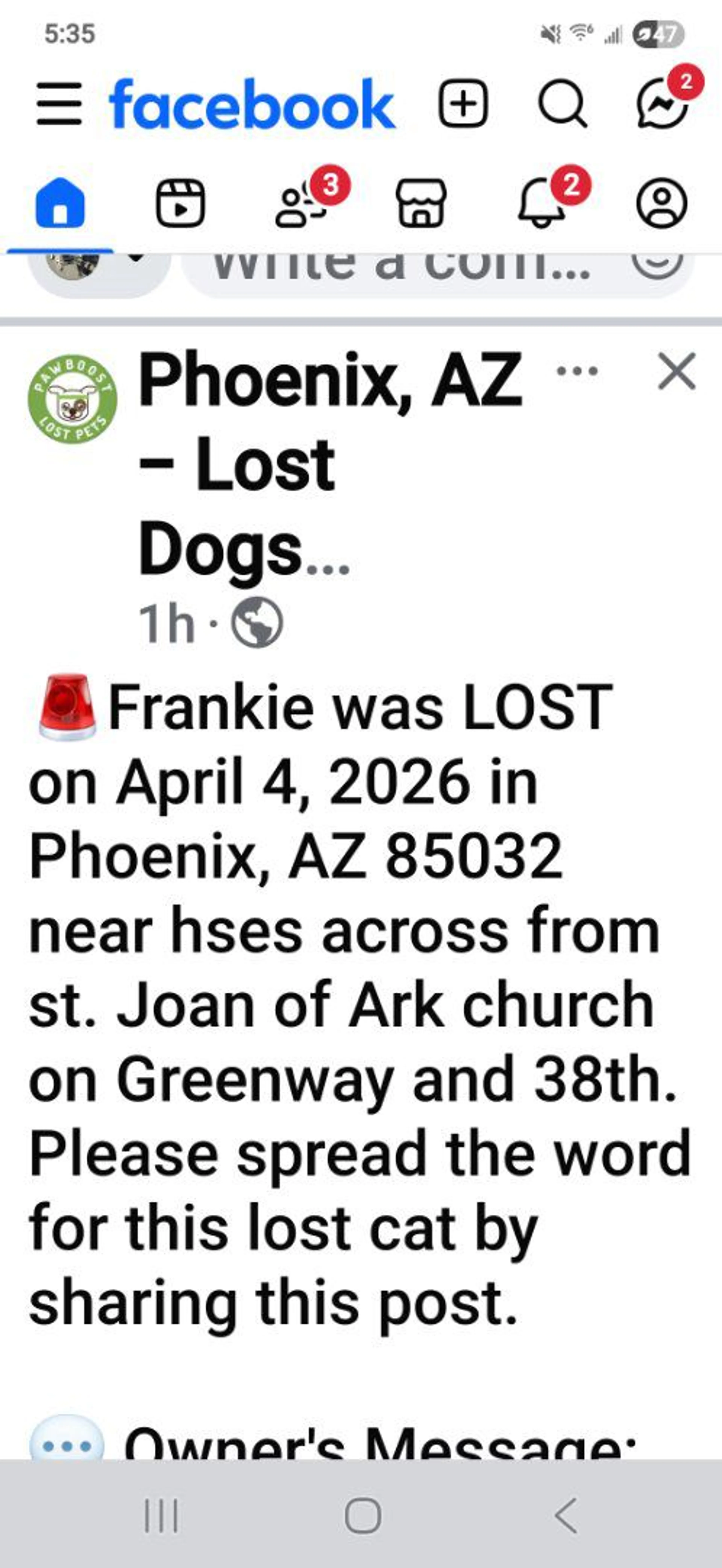 Lost pet-1
