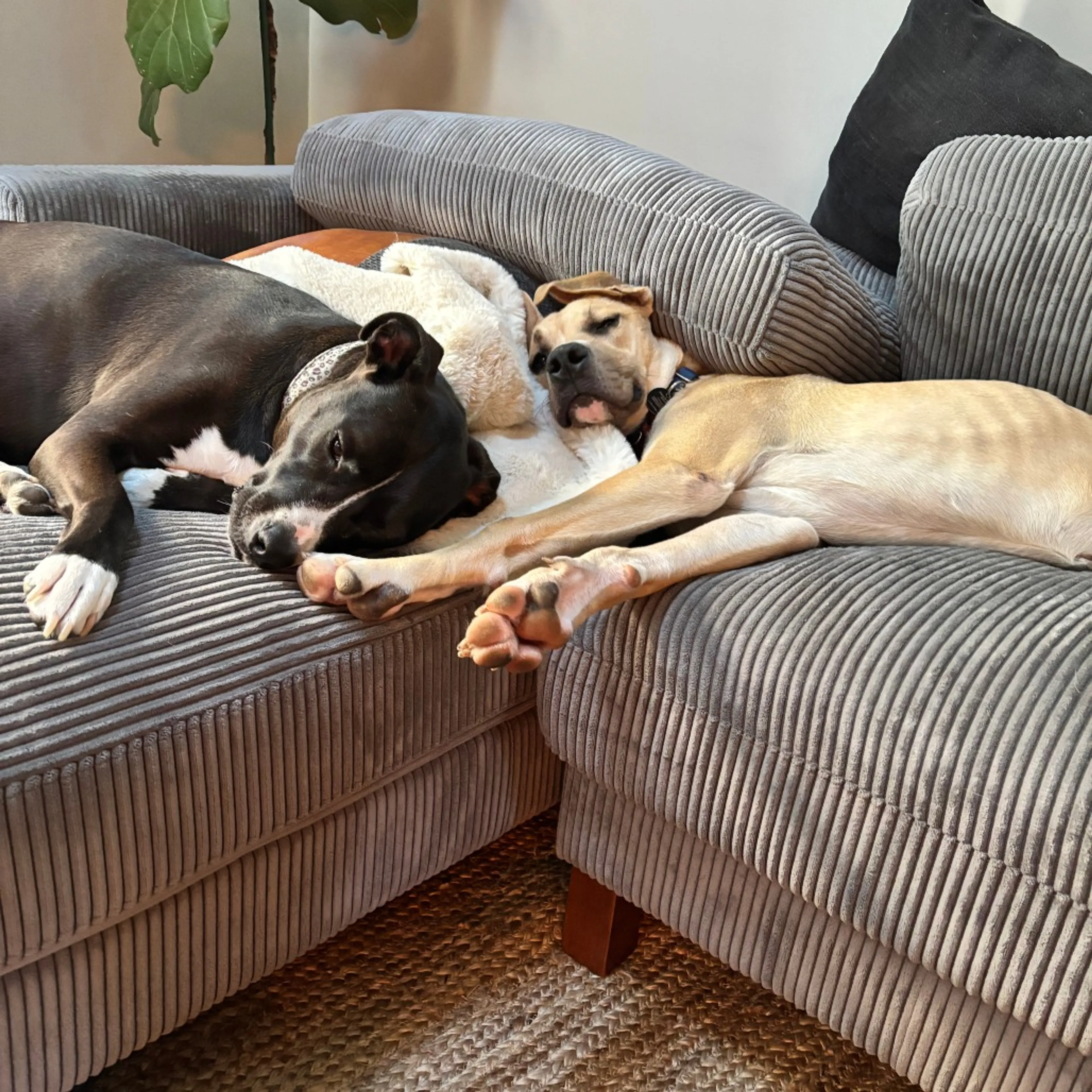 -15