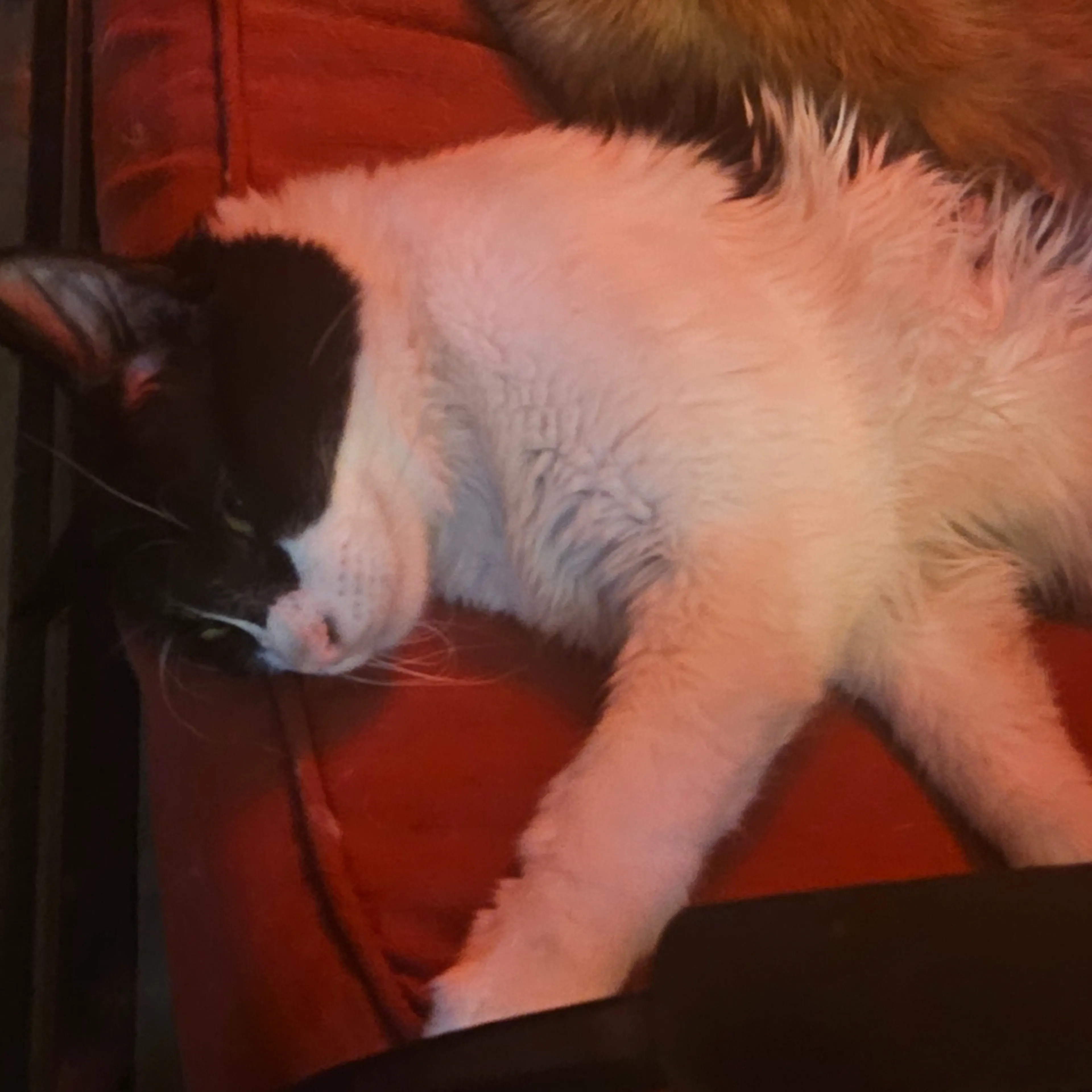 -3