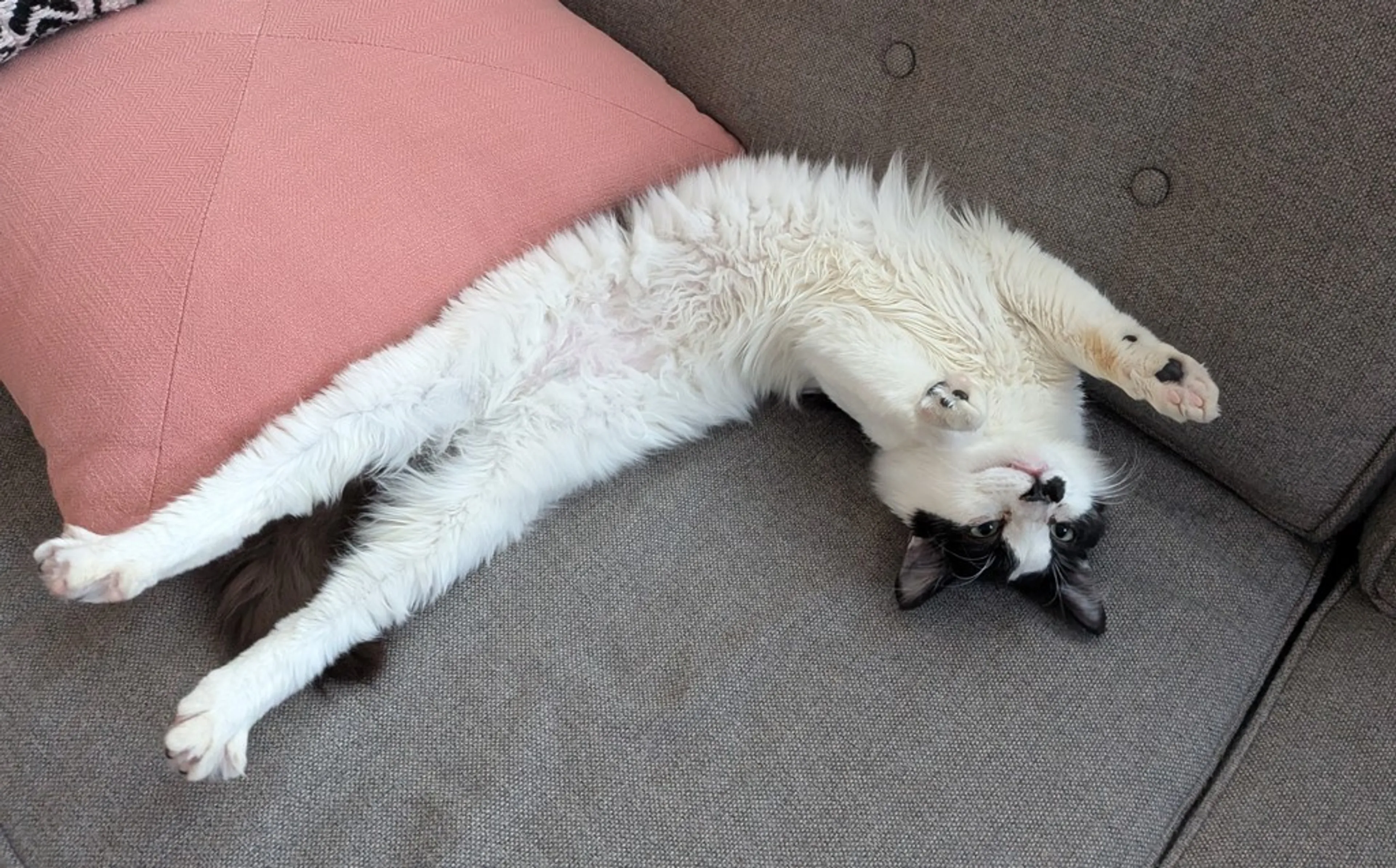 -2