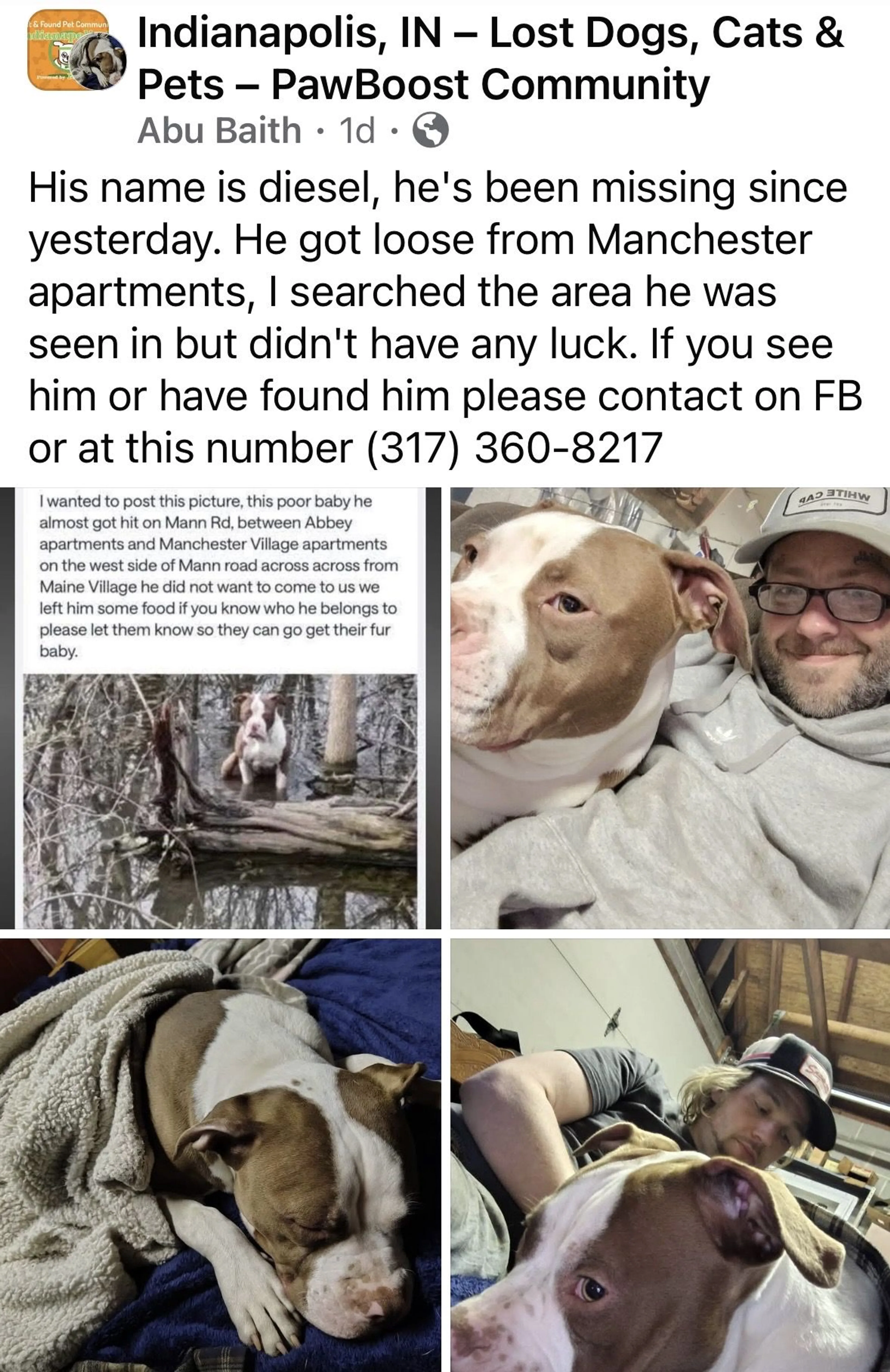 Lost pet