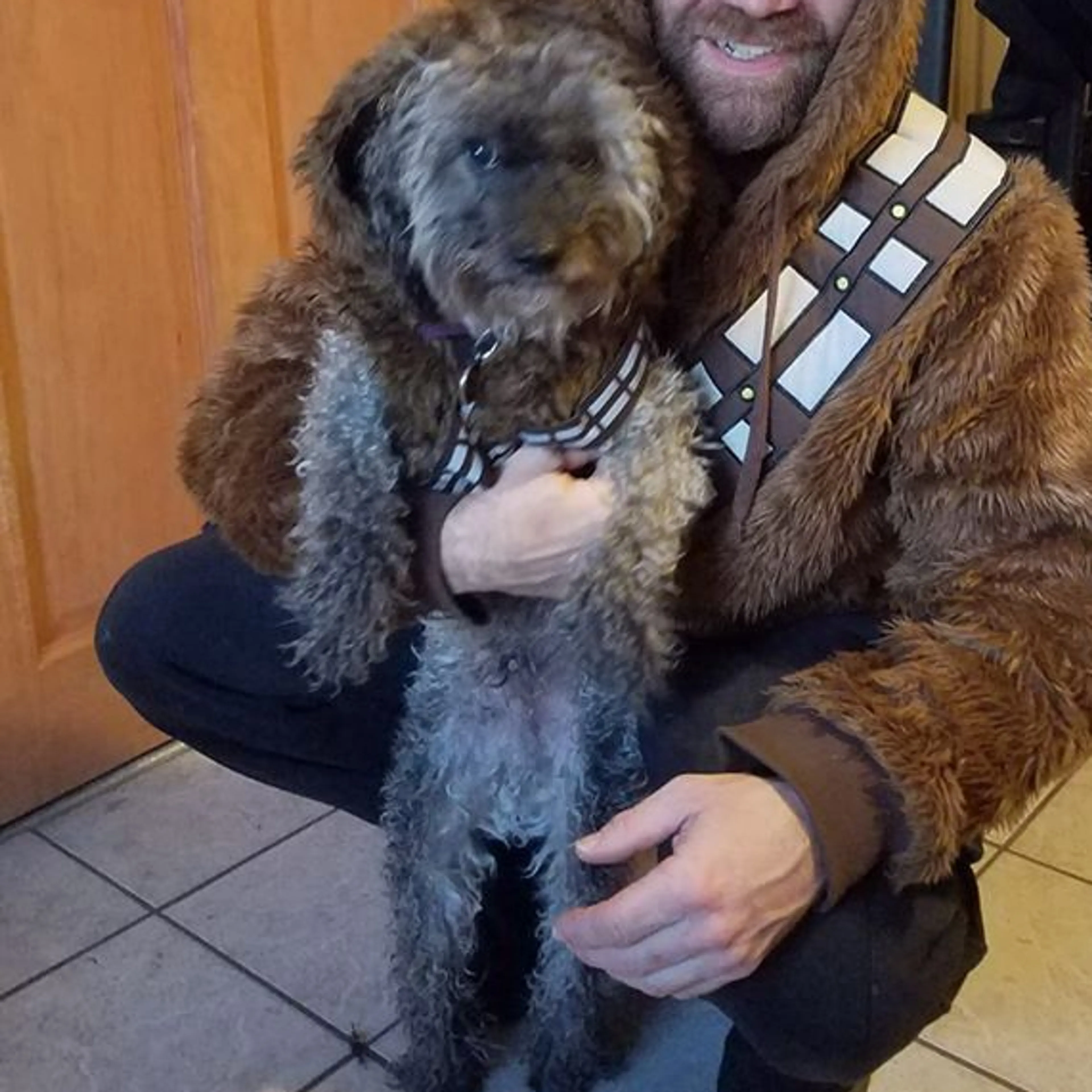 Lost pet-3