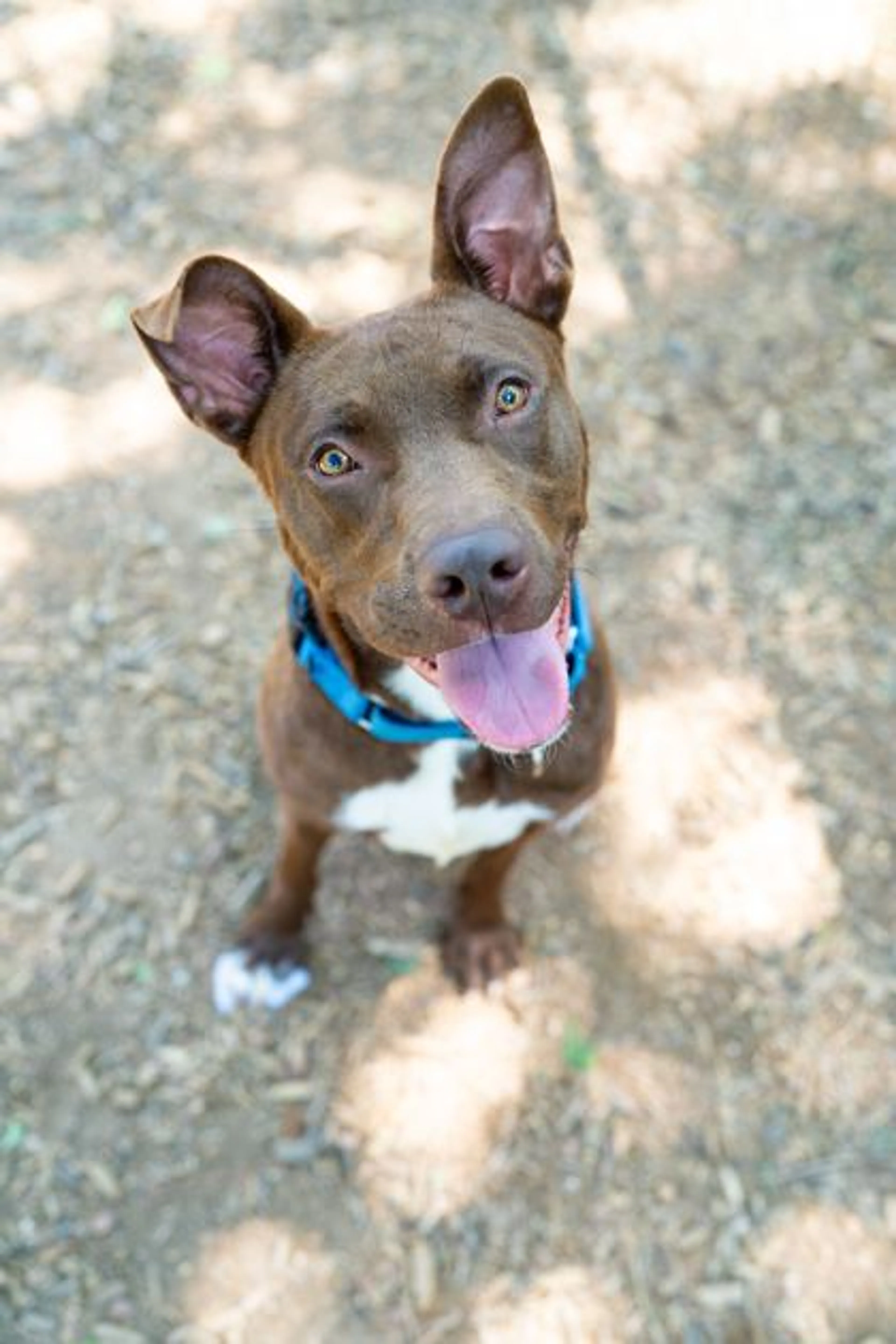 -0