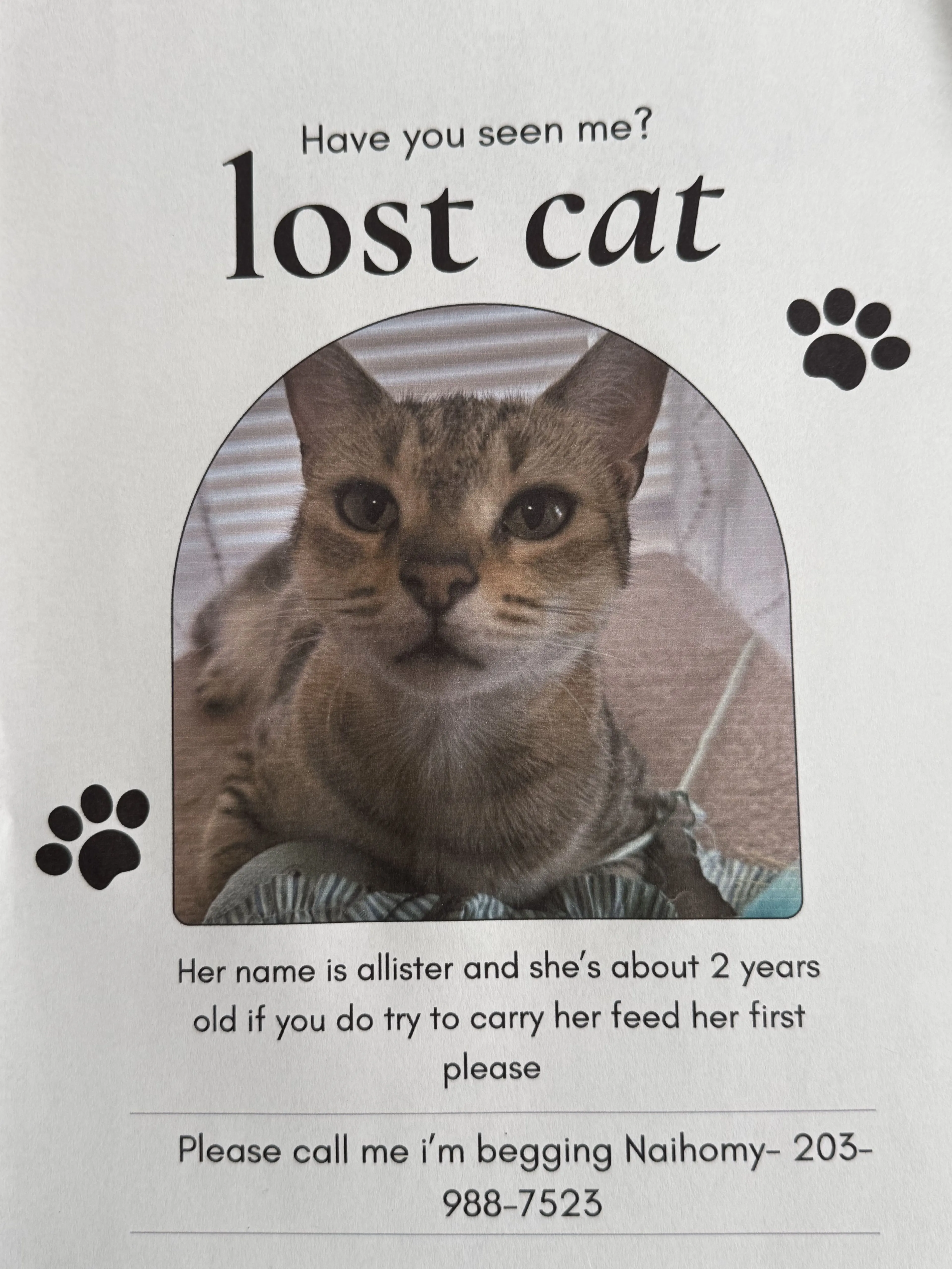 Lost pet