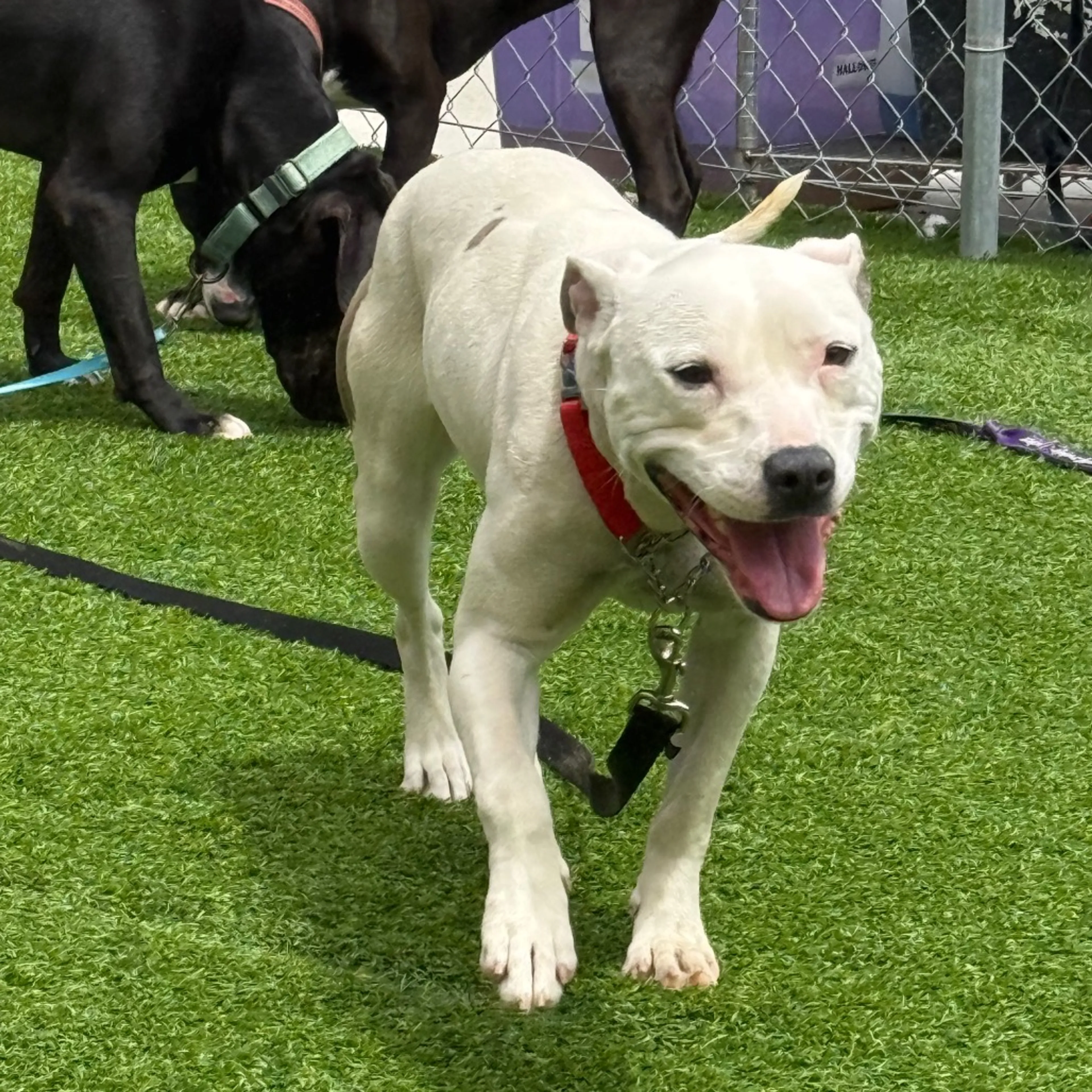 -1