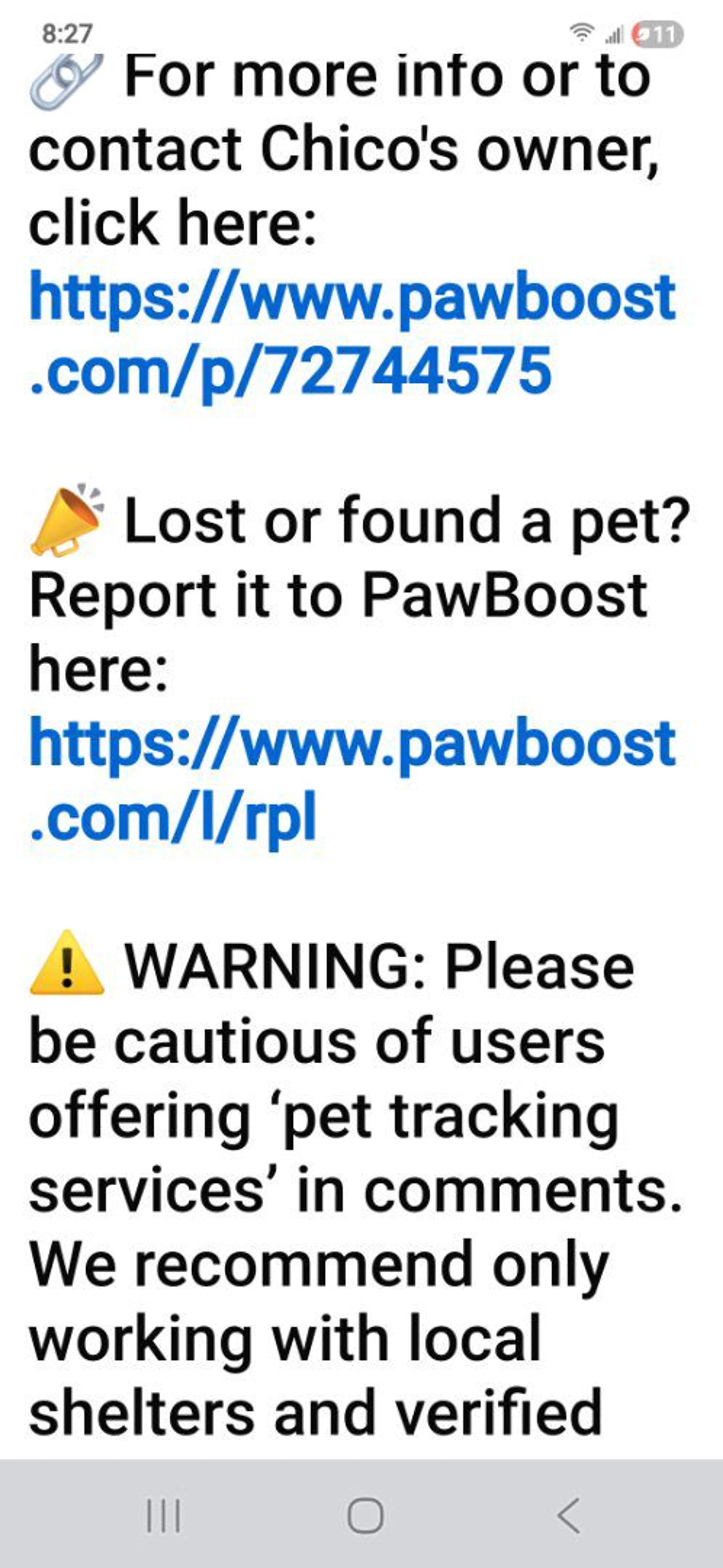 Lost pet-2