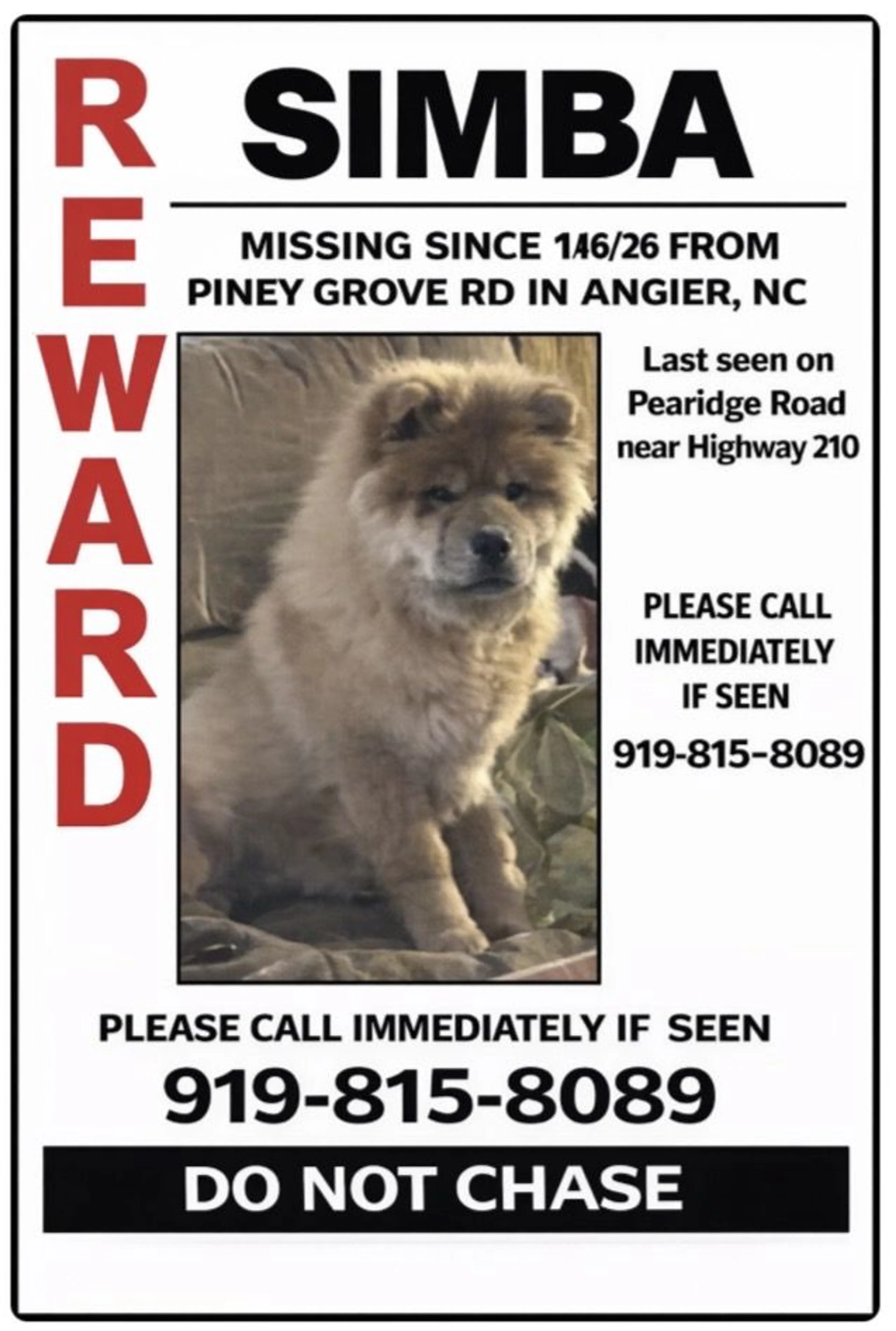 Lost pet