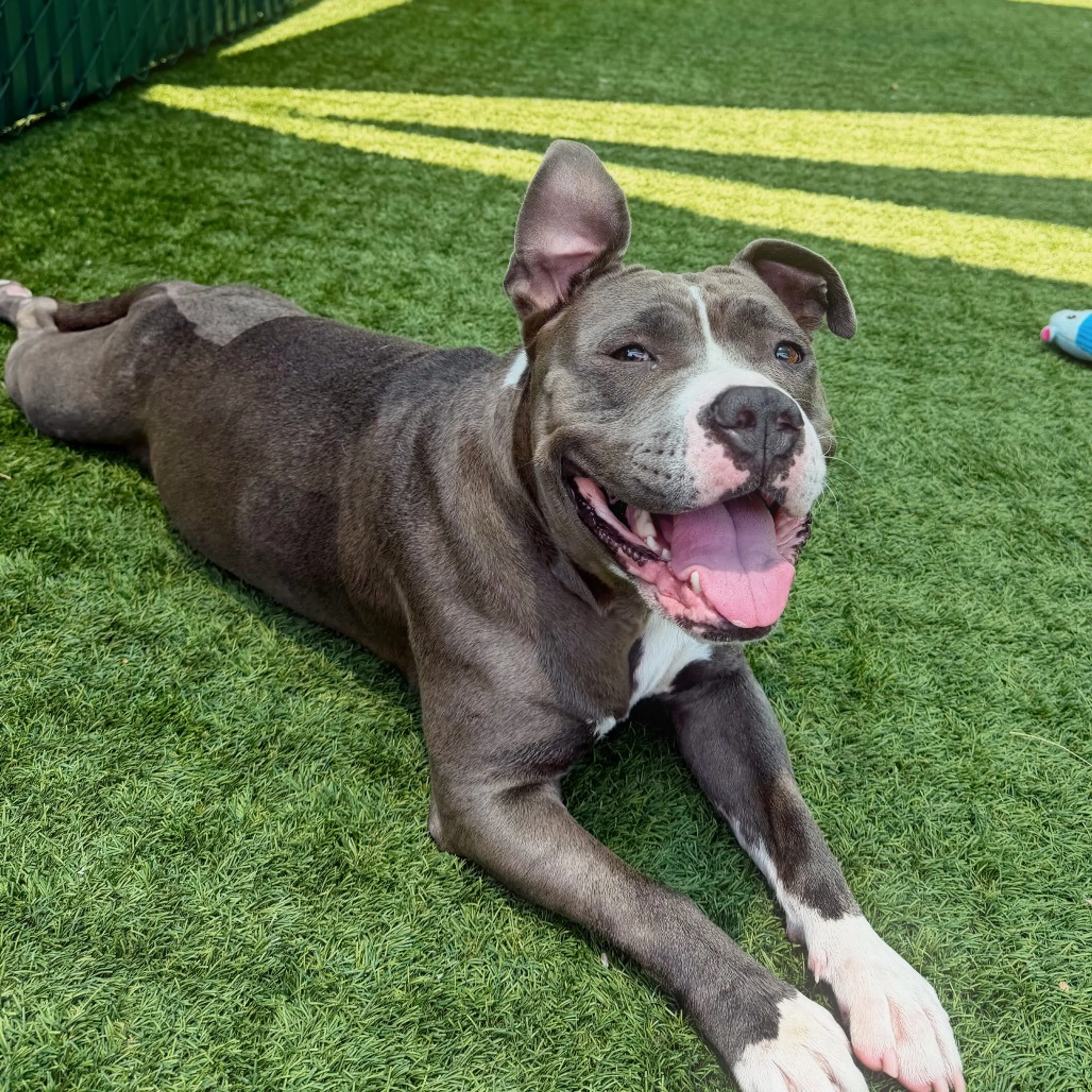 -2
