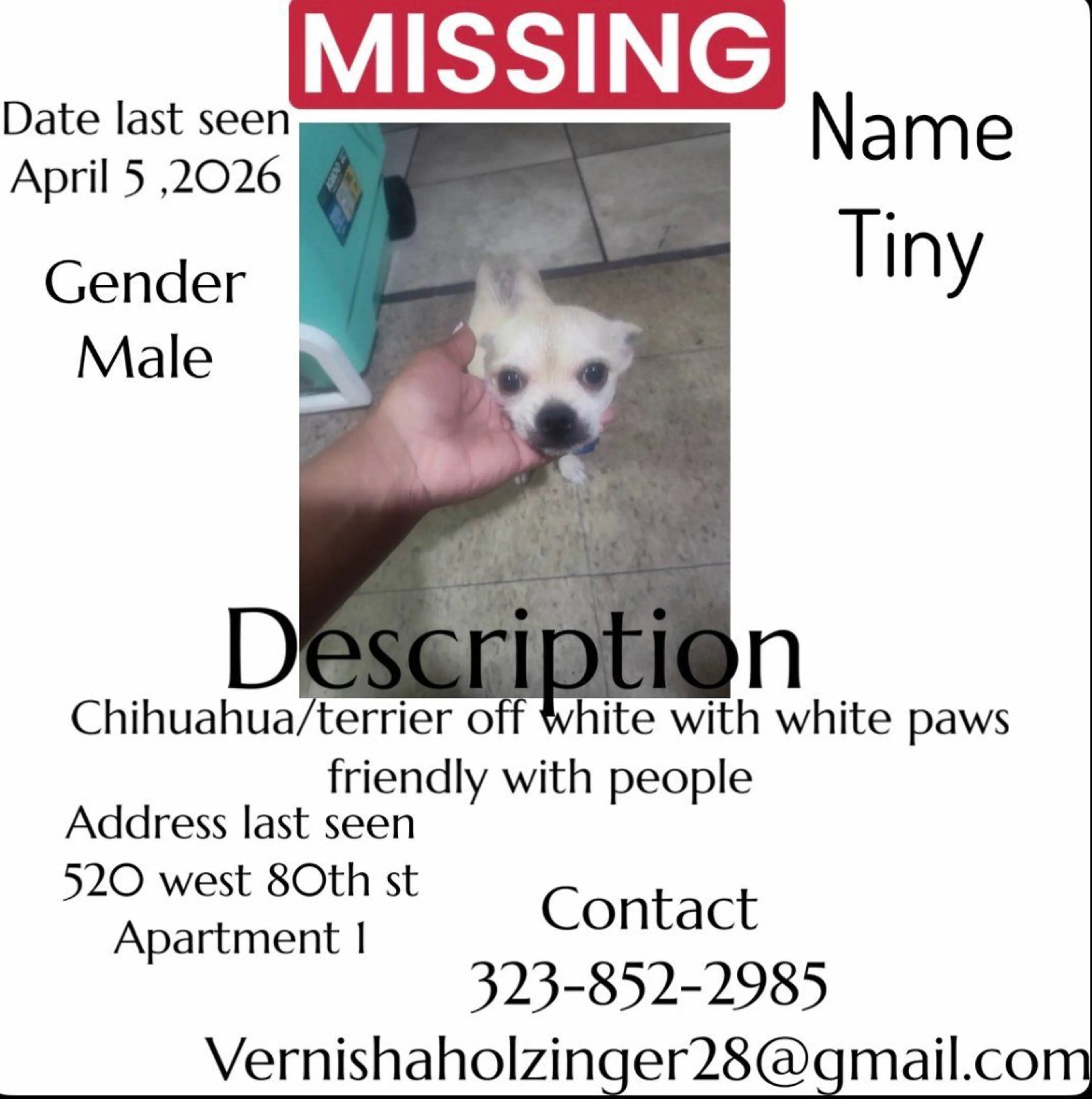 Lost pet