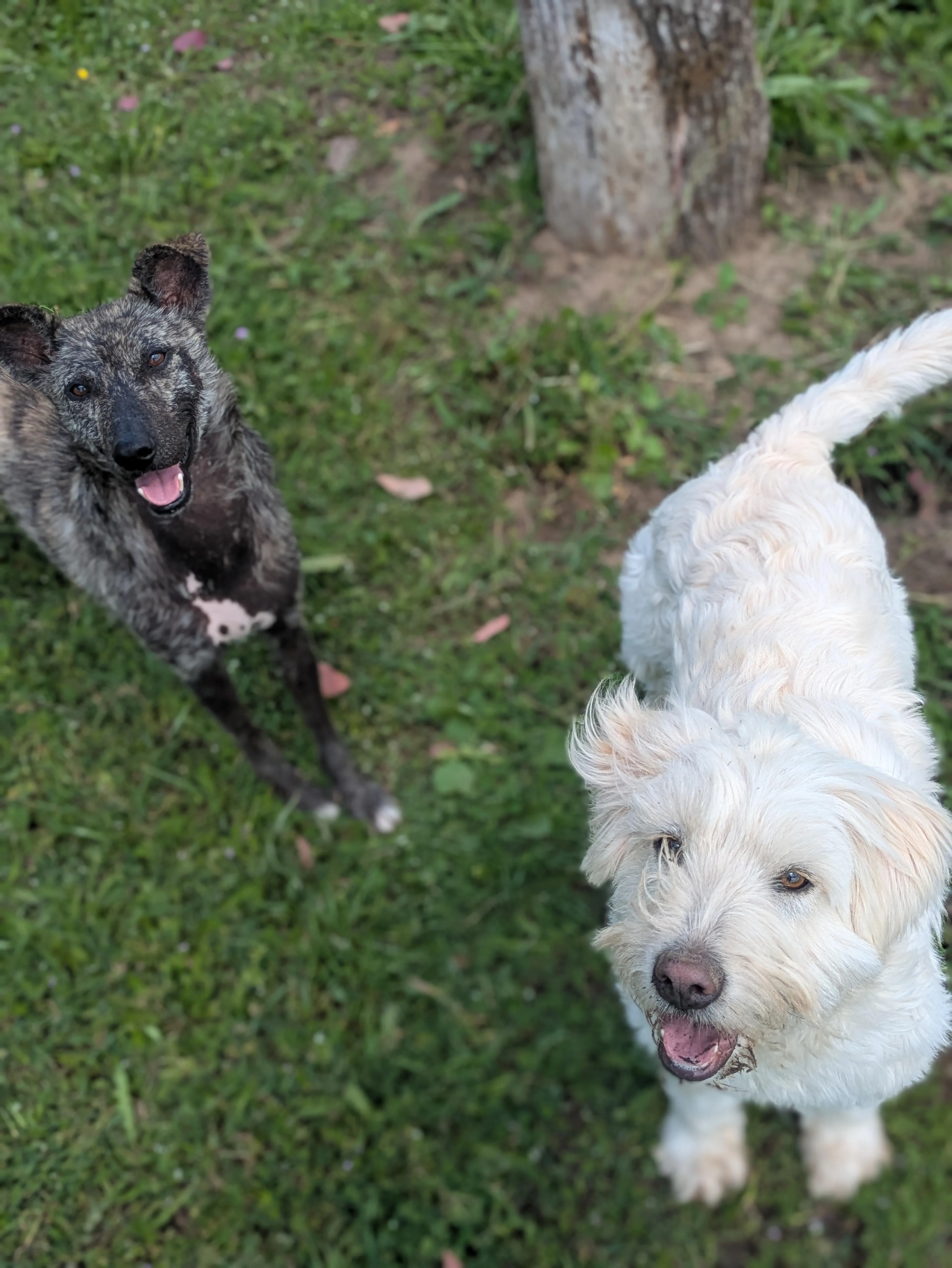 -2