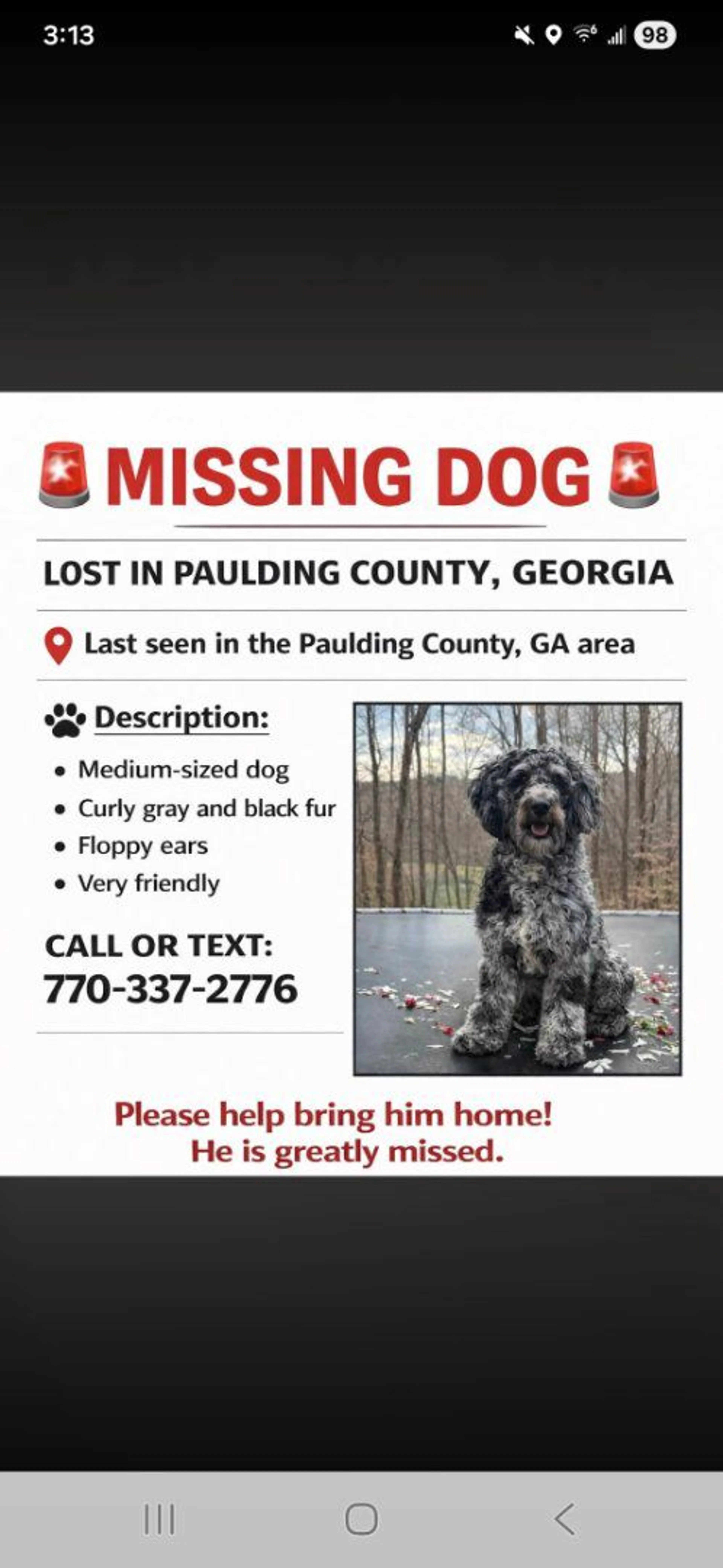 Lost pet