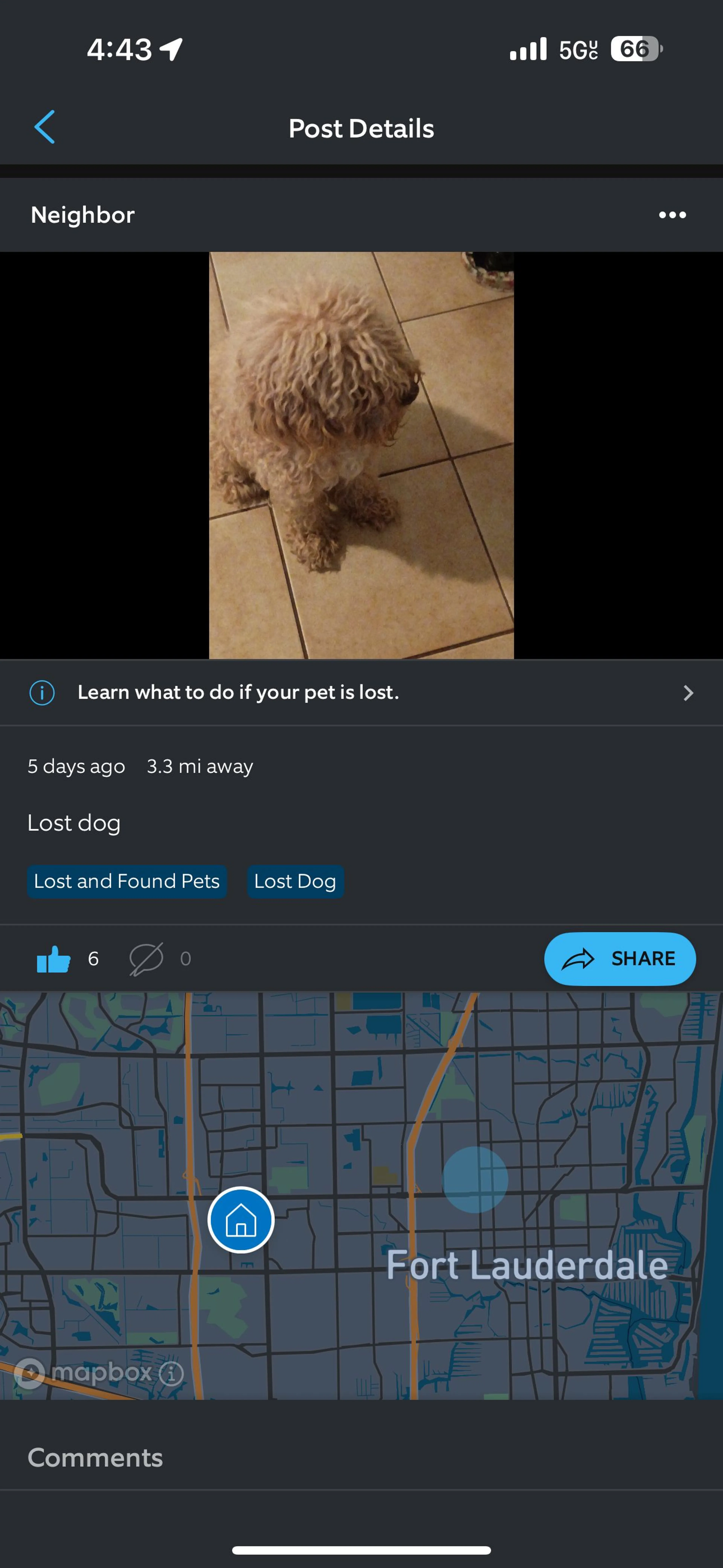 Lost pet