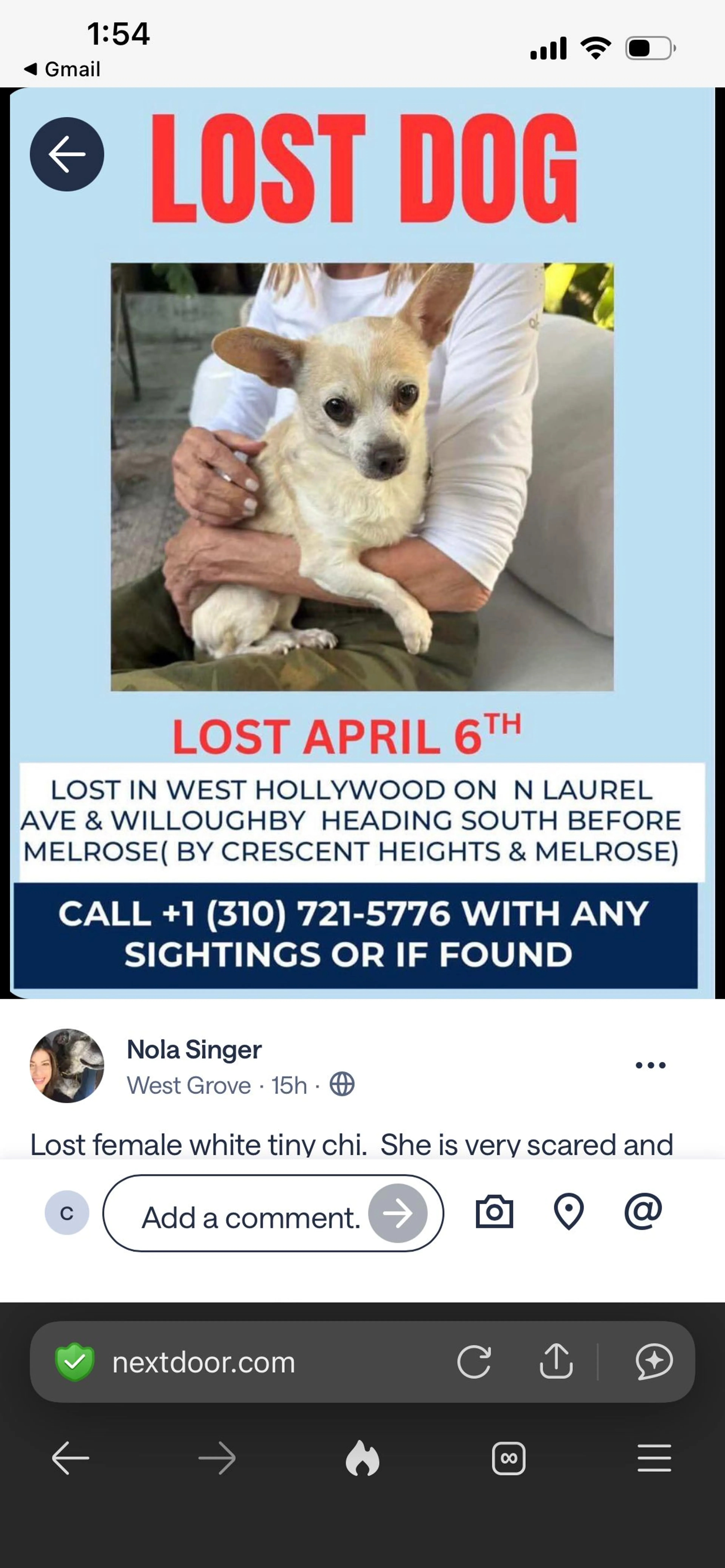 Lost pet