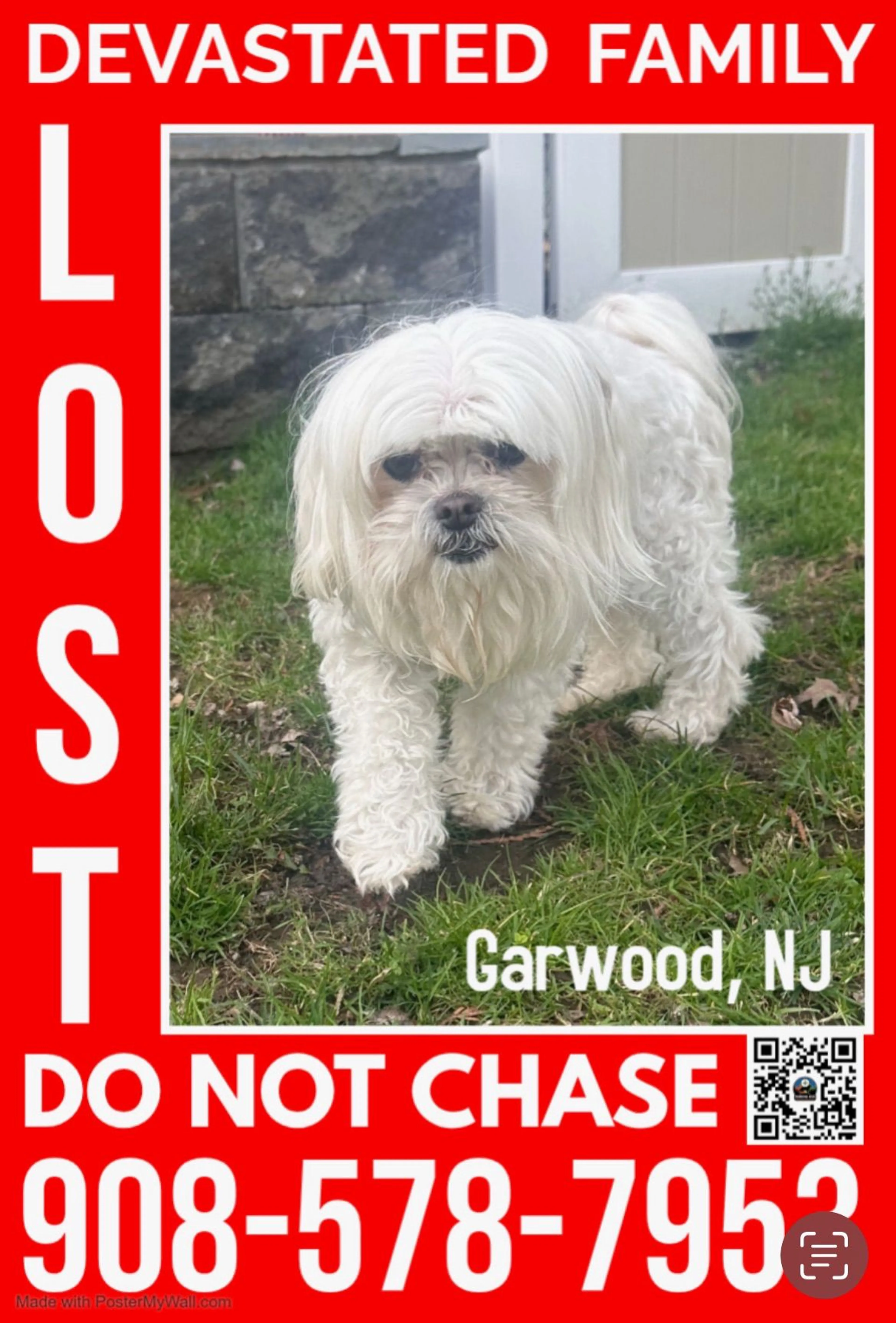 Lost pet
