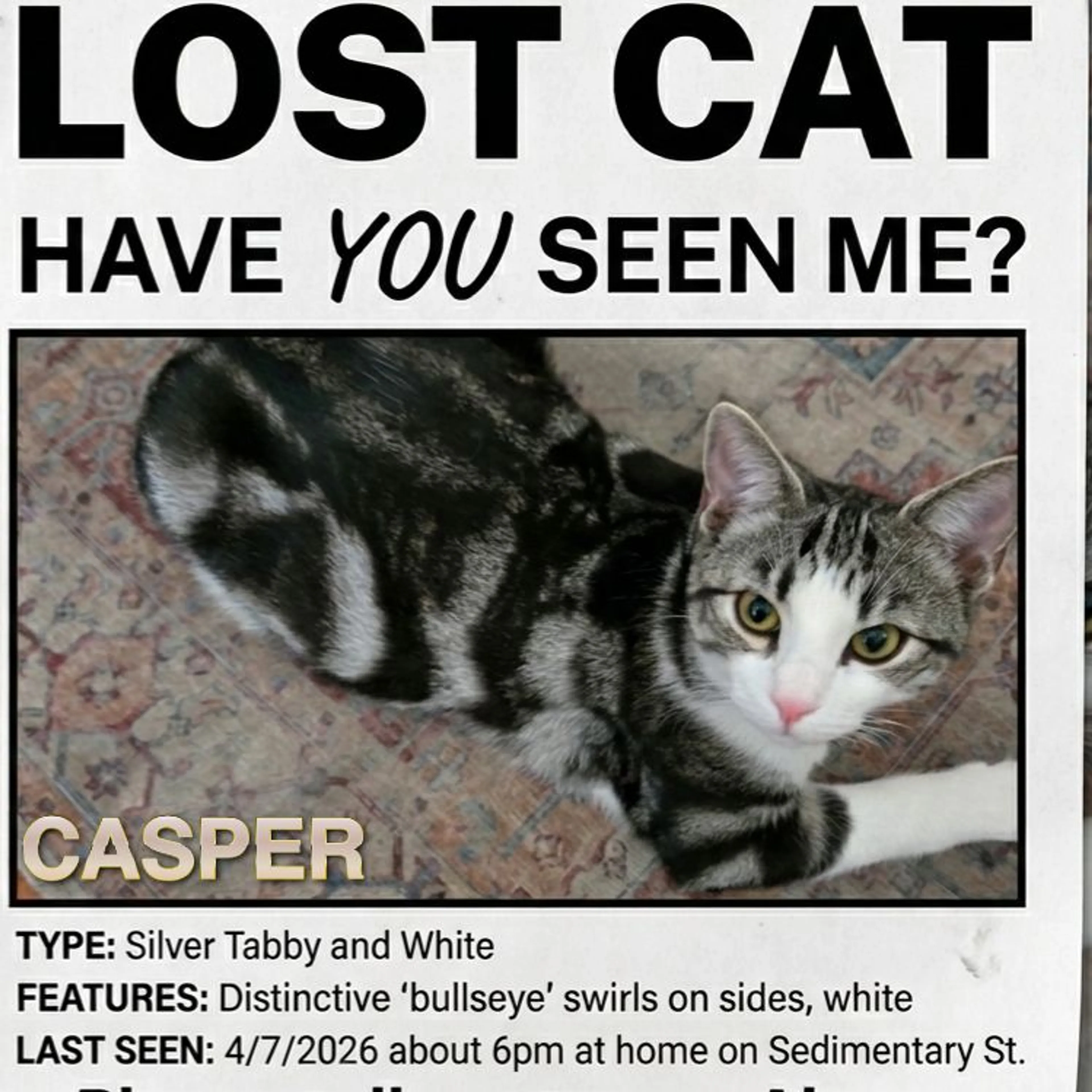 Lost pet-0