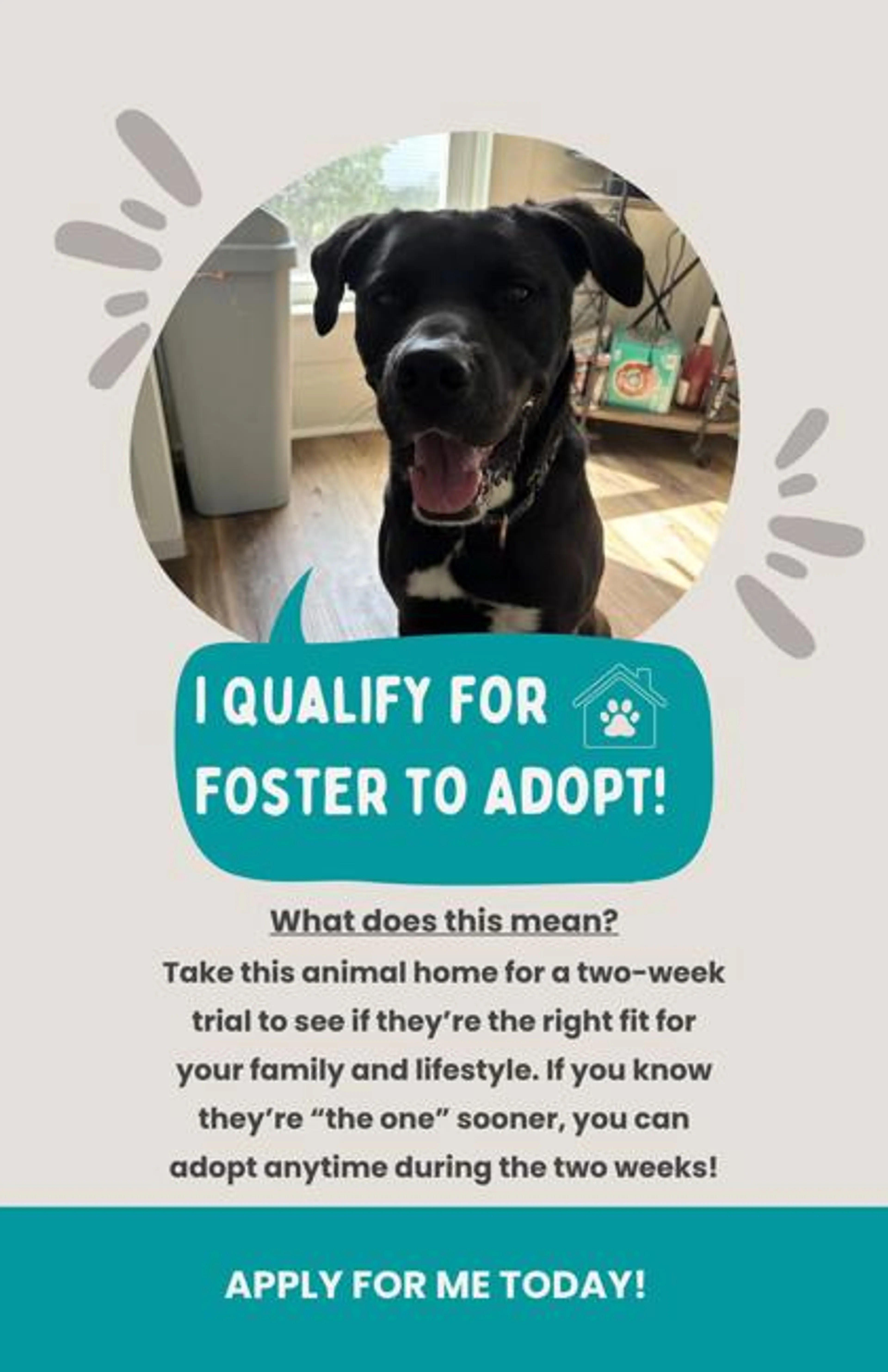 cdn image