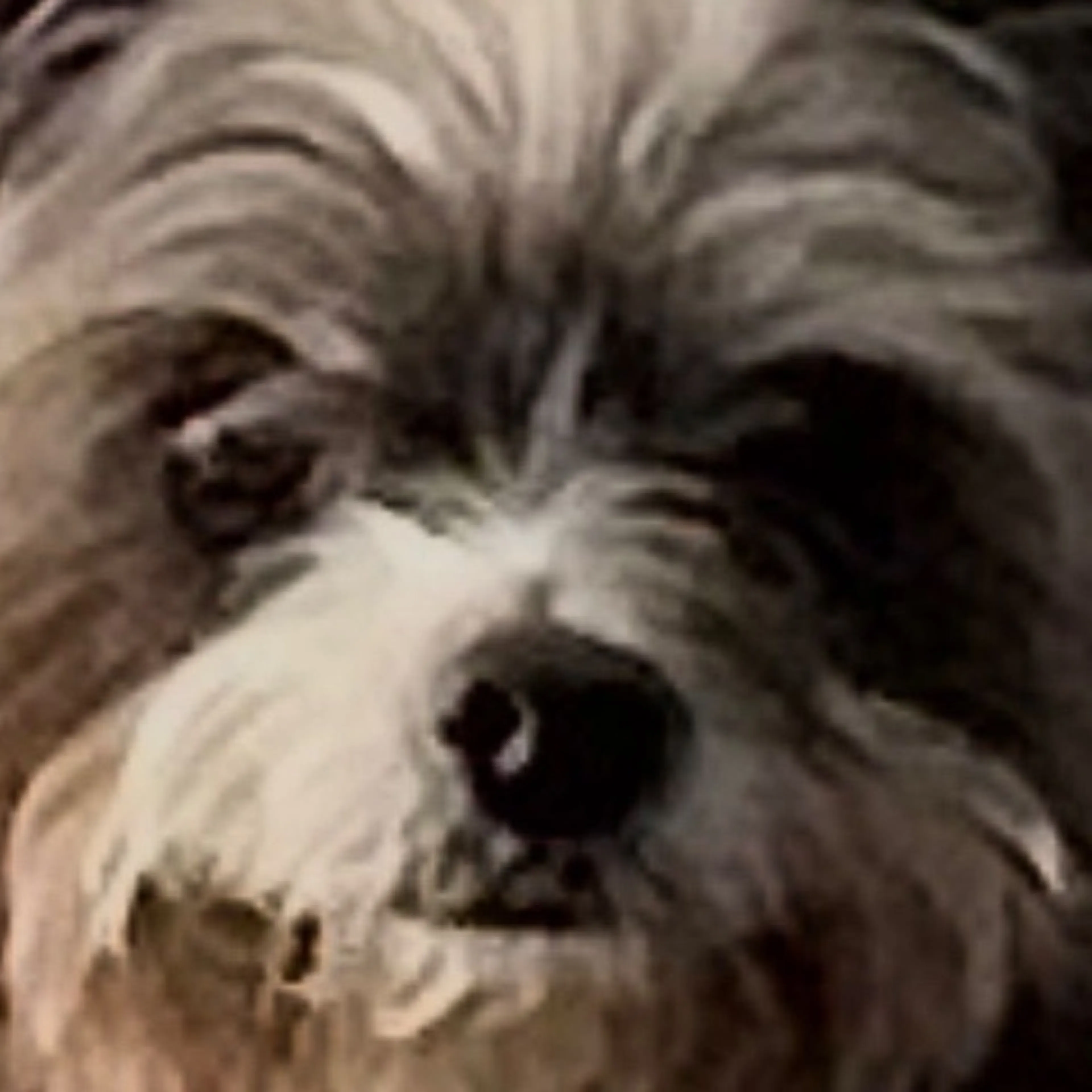 cdn image