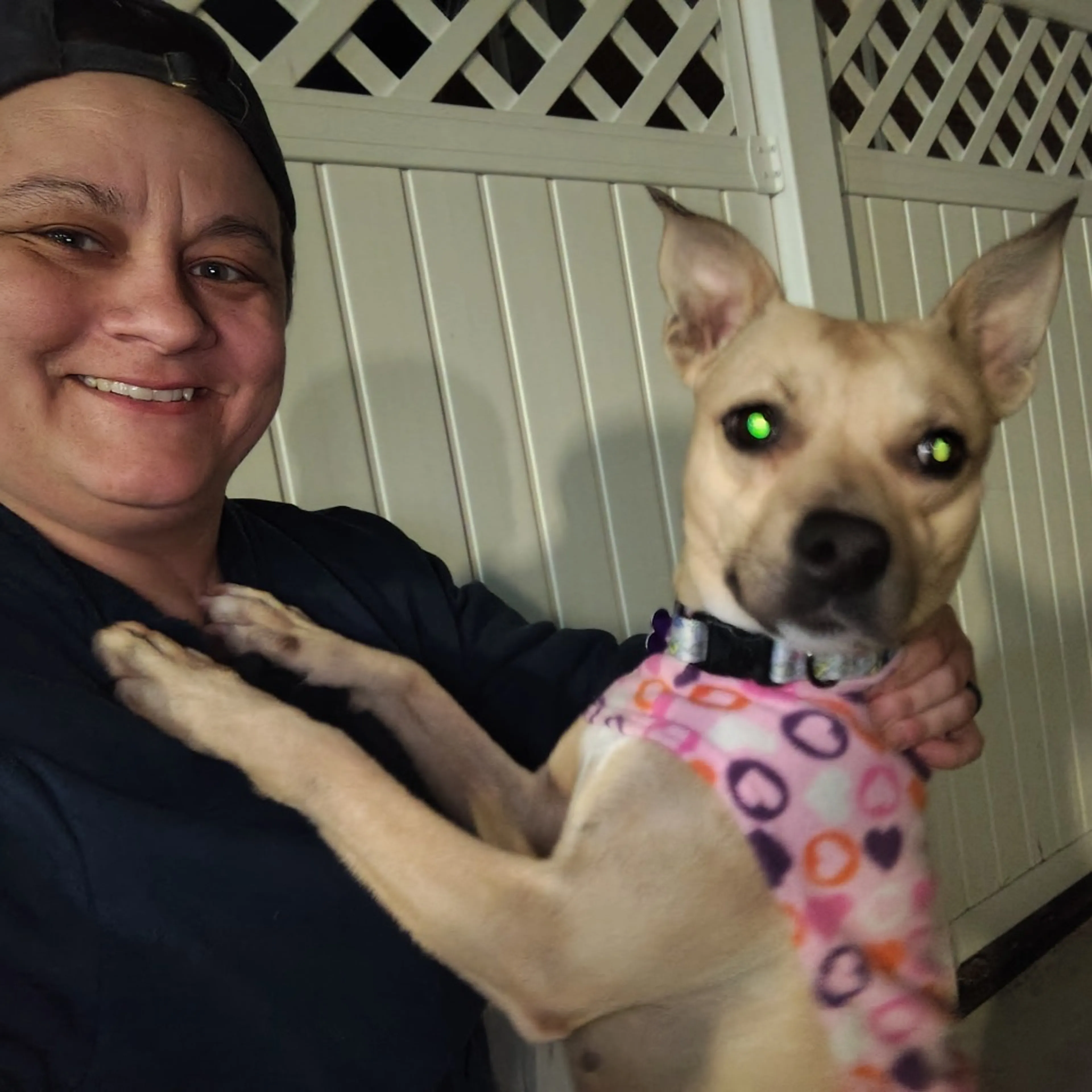 Found pet-19