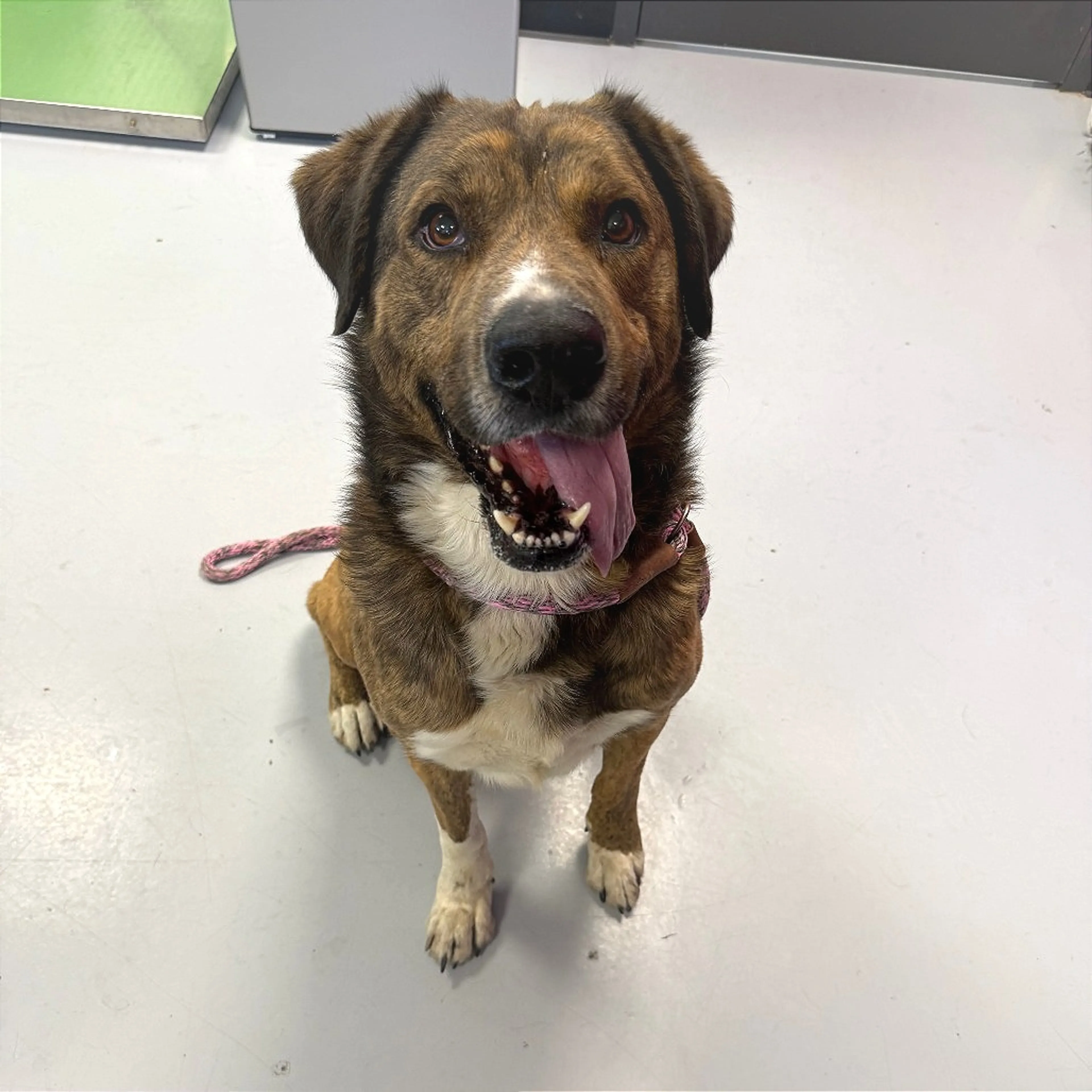 -1