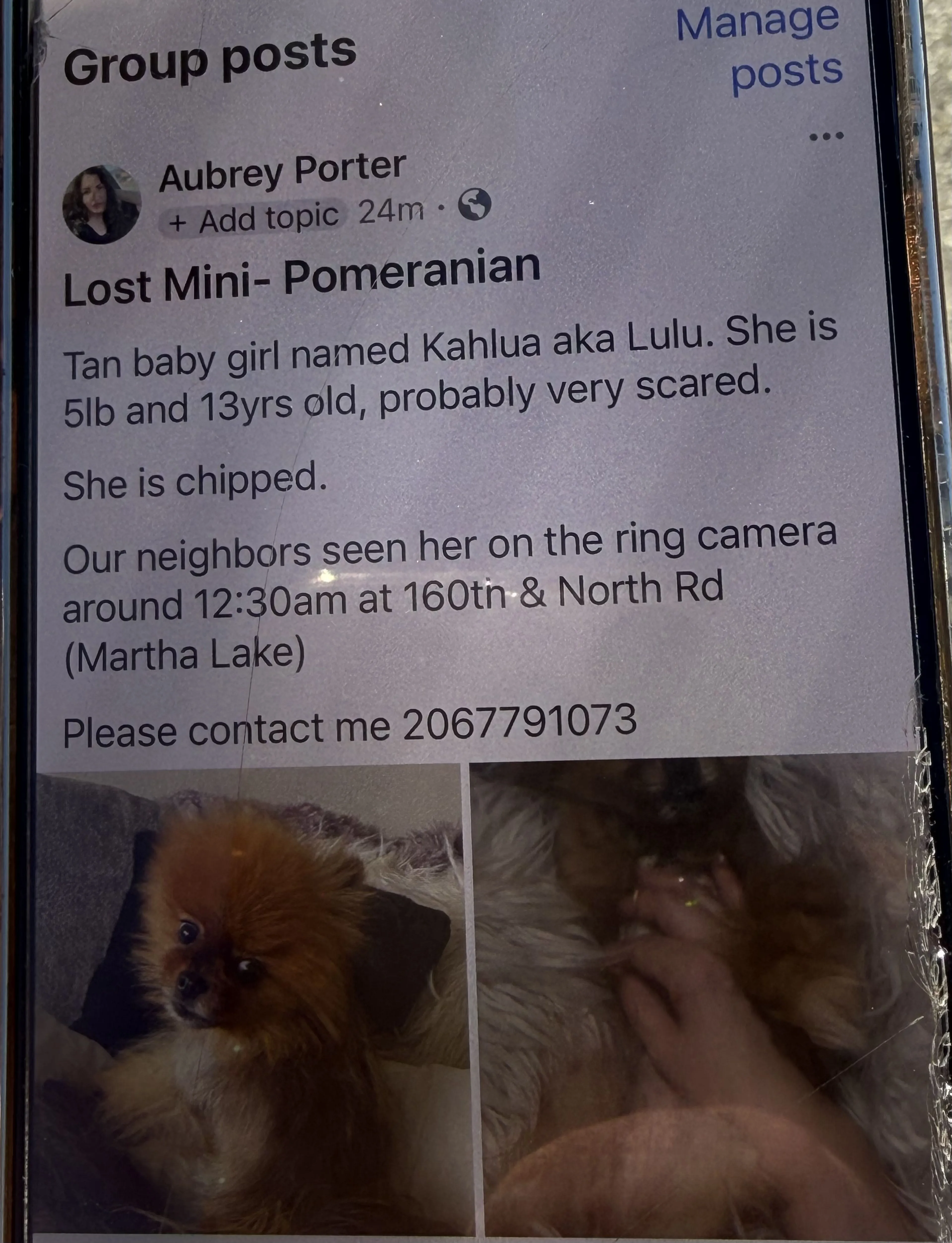 Lost pet
