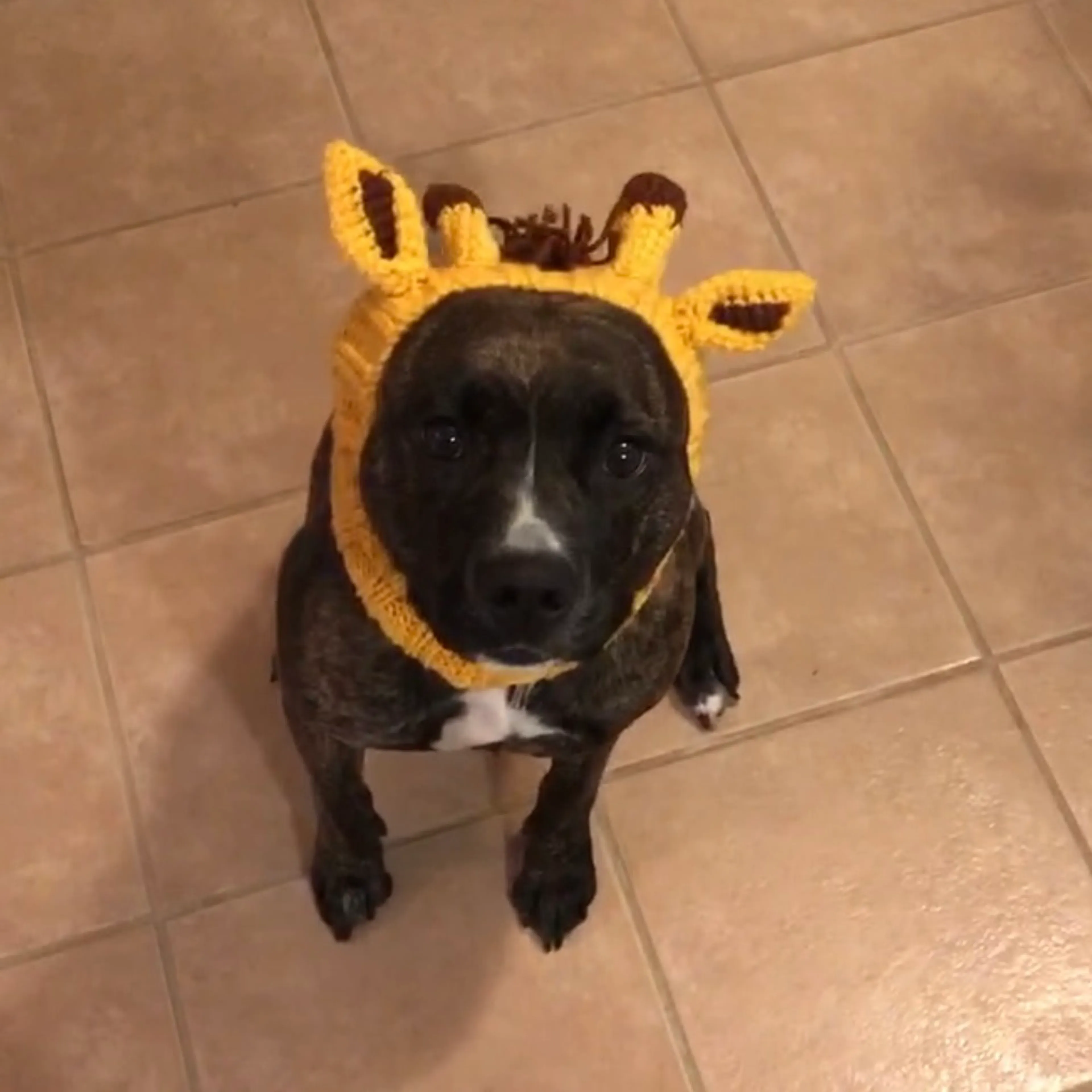 -13