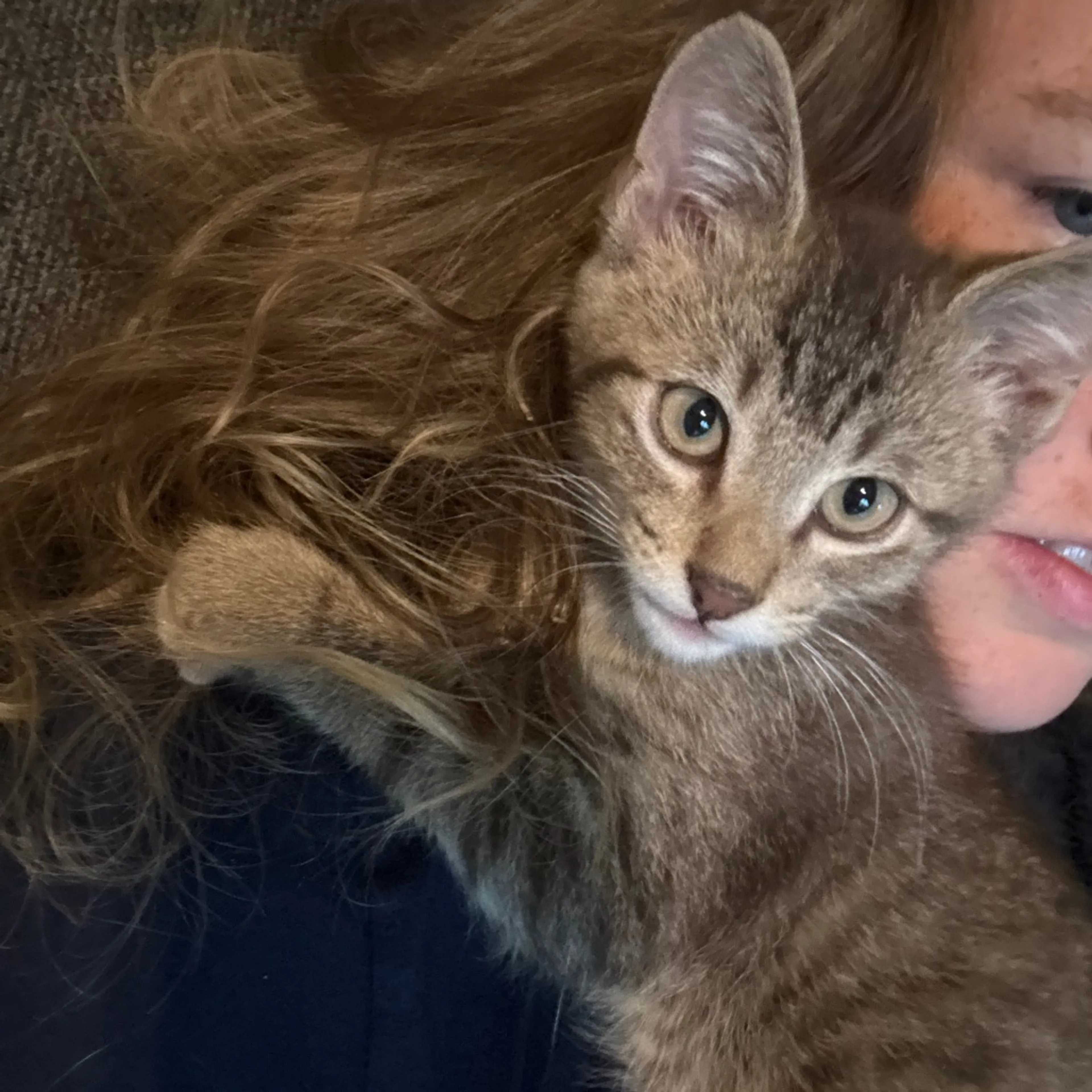Found pet-6
