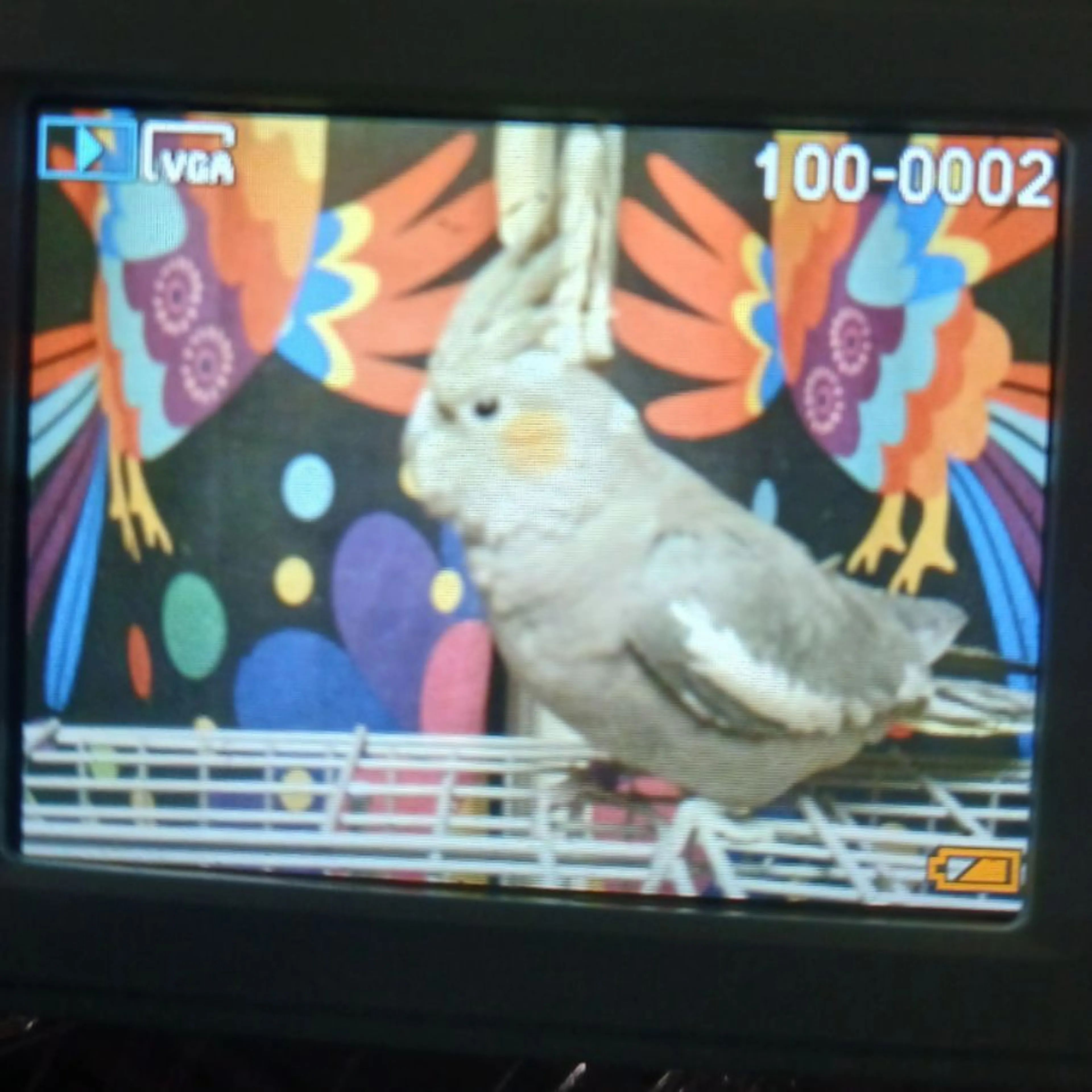 cdn image