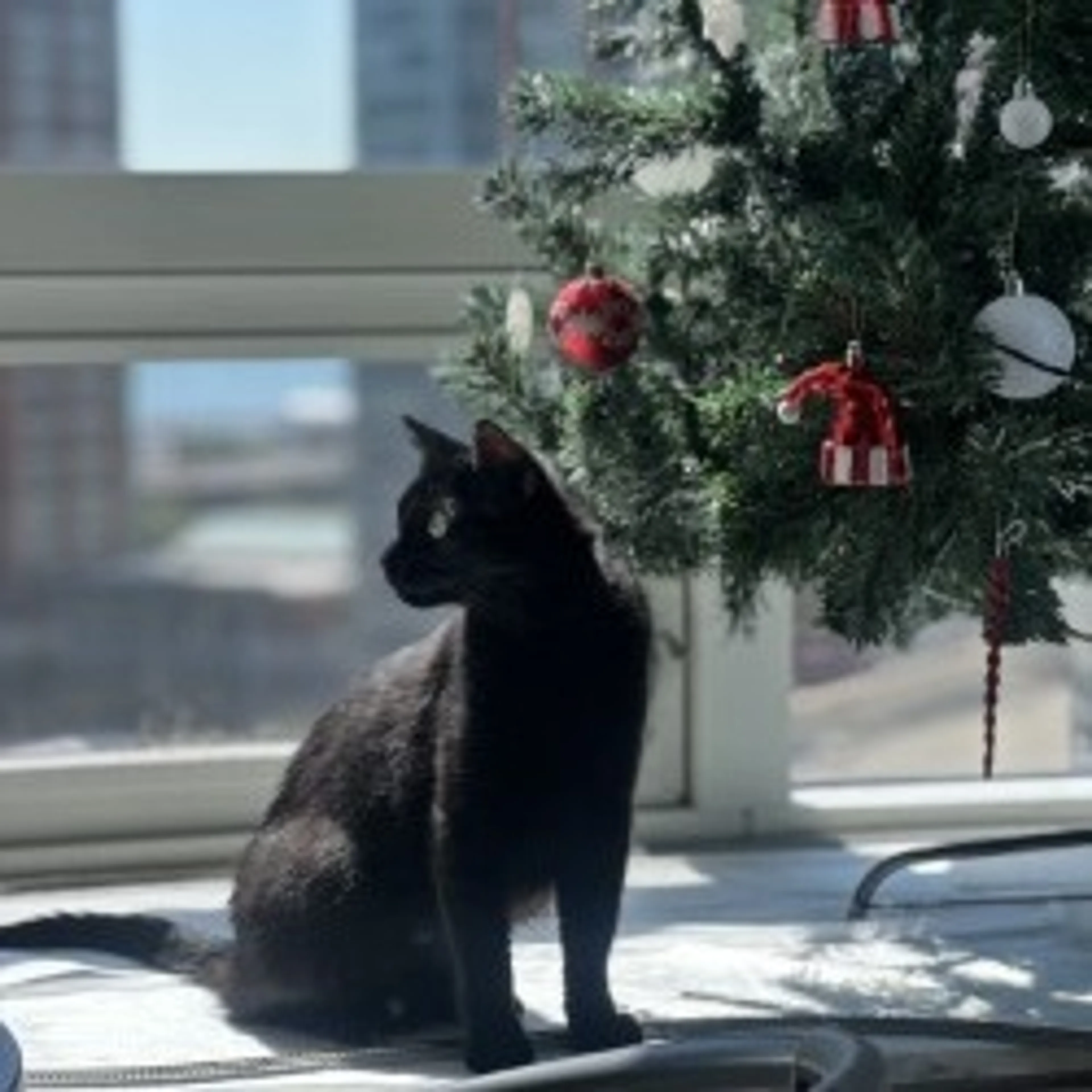 -13