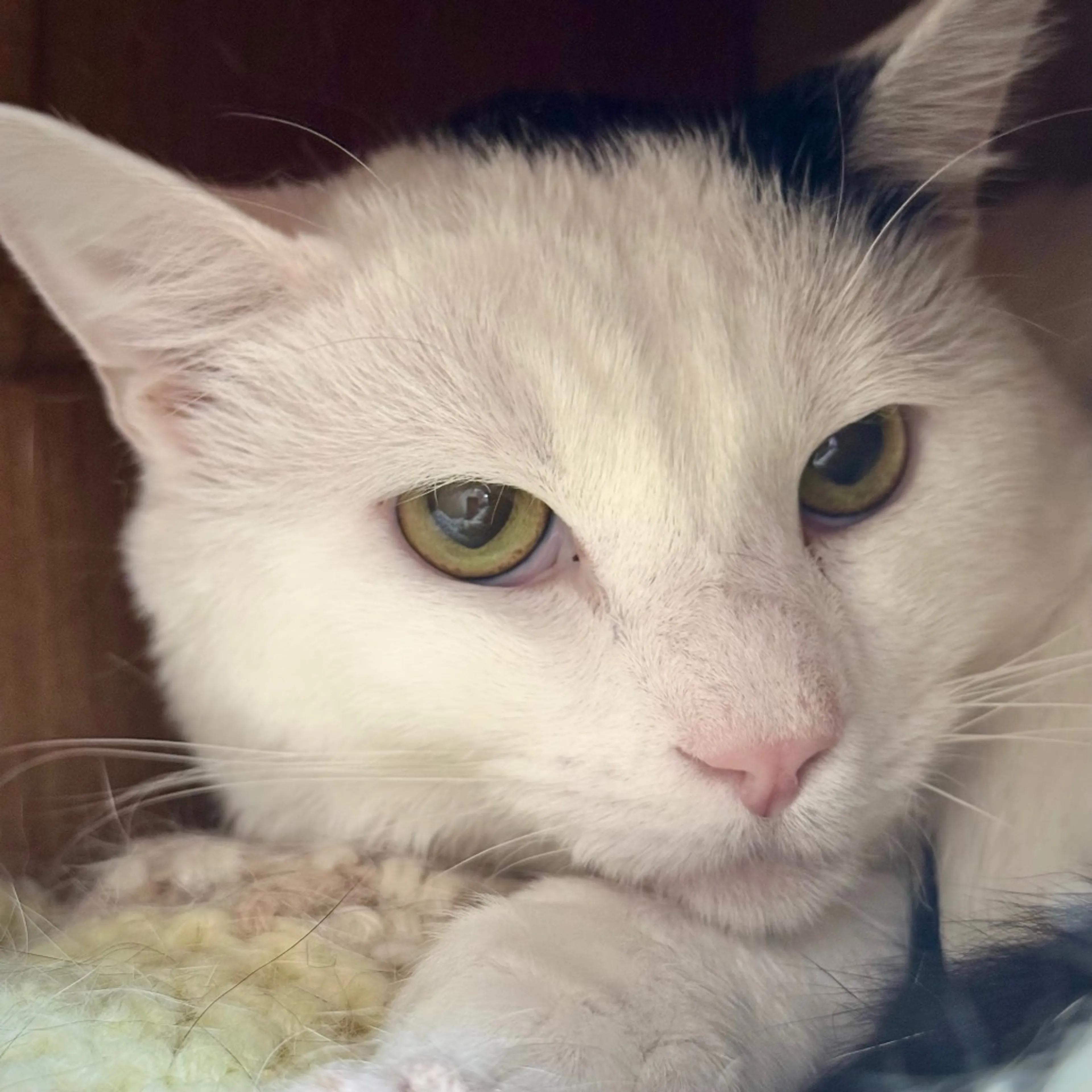 -0