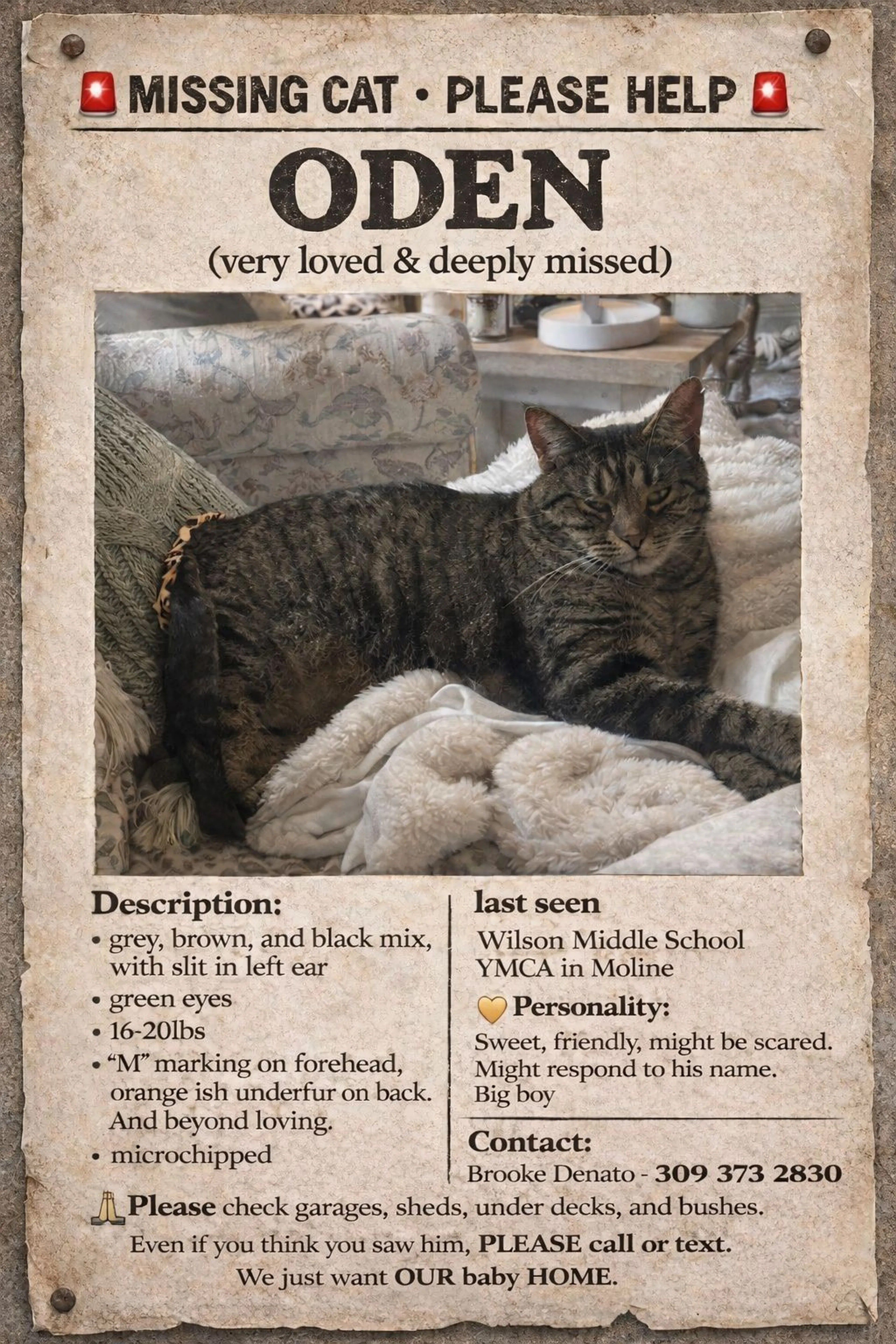 Lost pet