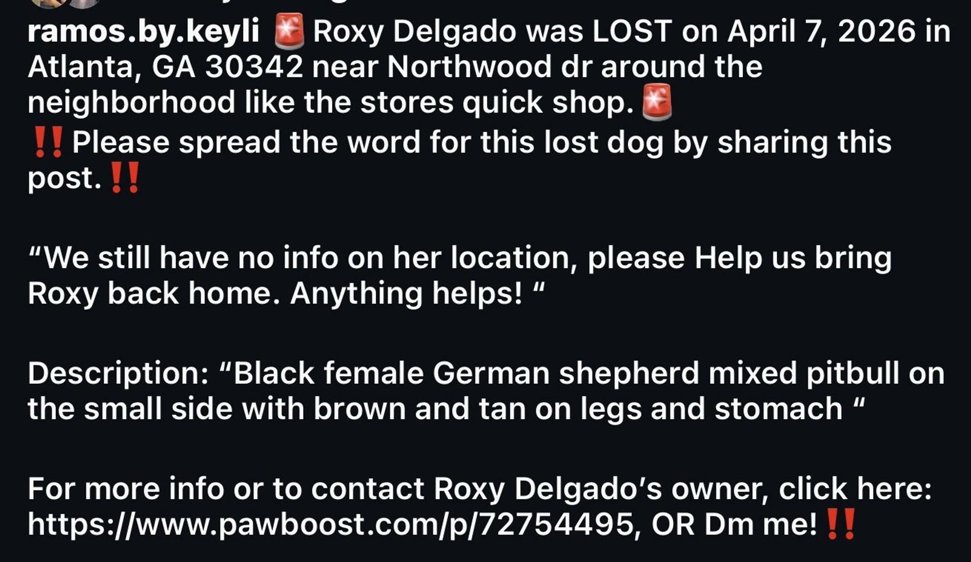 Lost pet-1