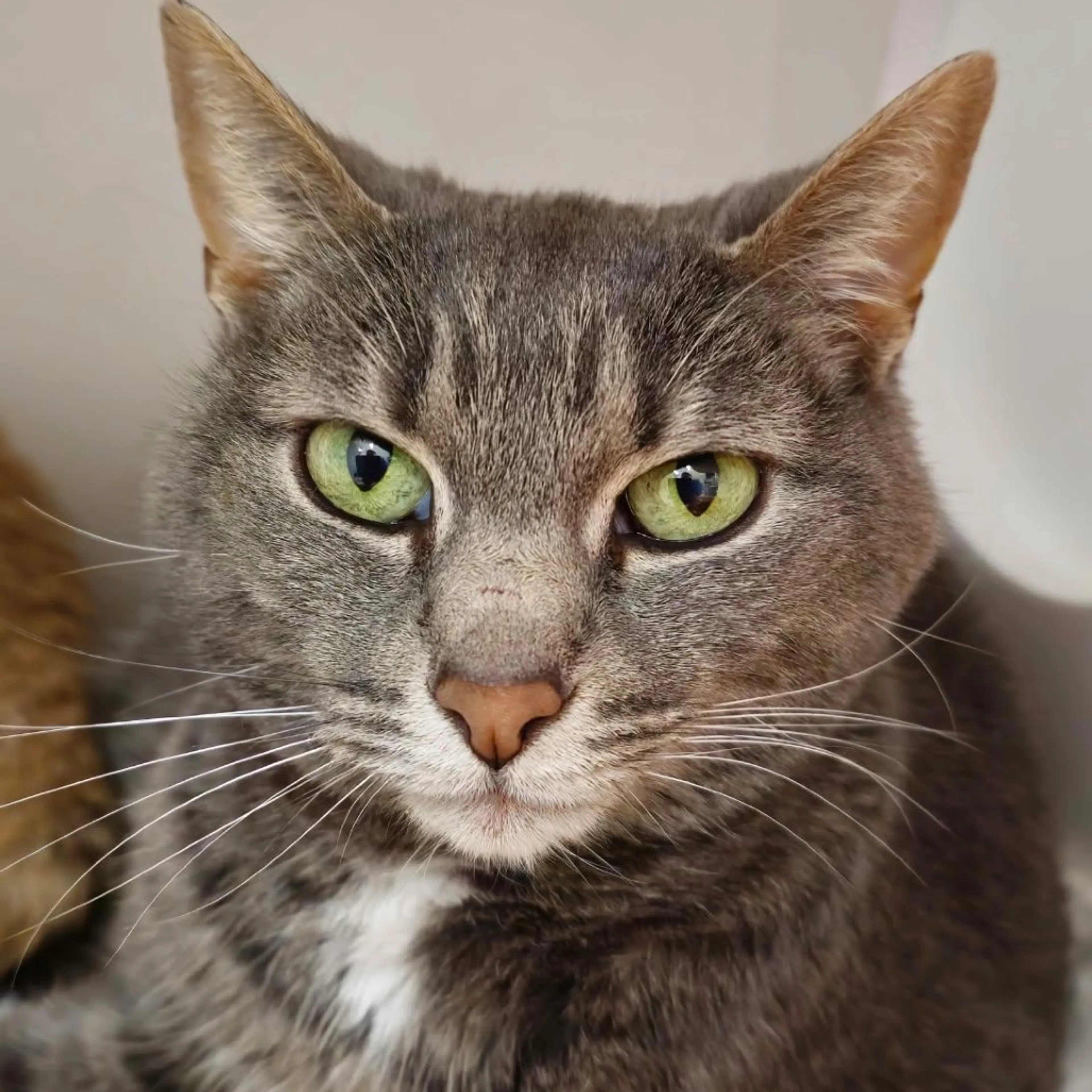 -3
