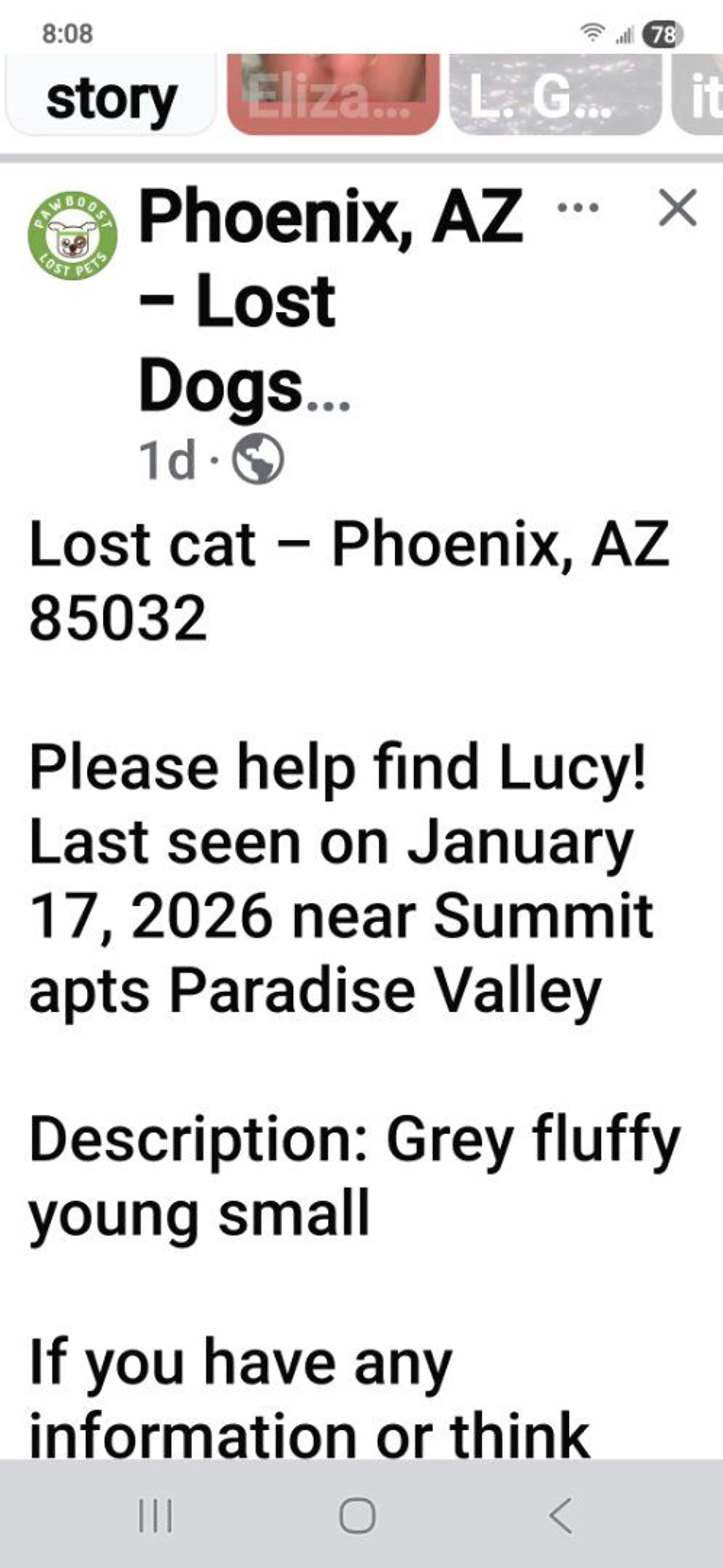 Lost pet-2