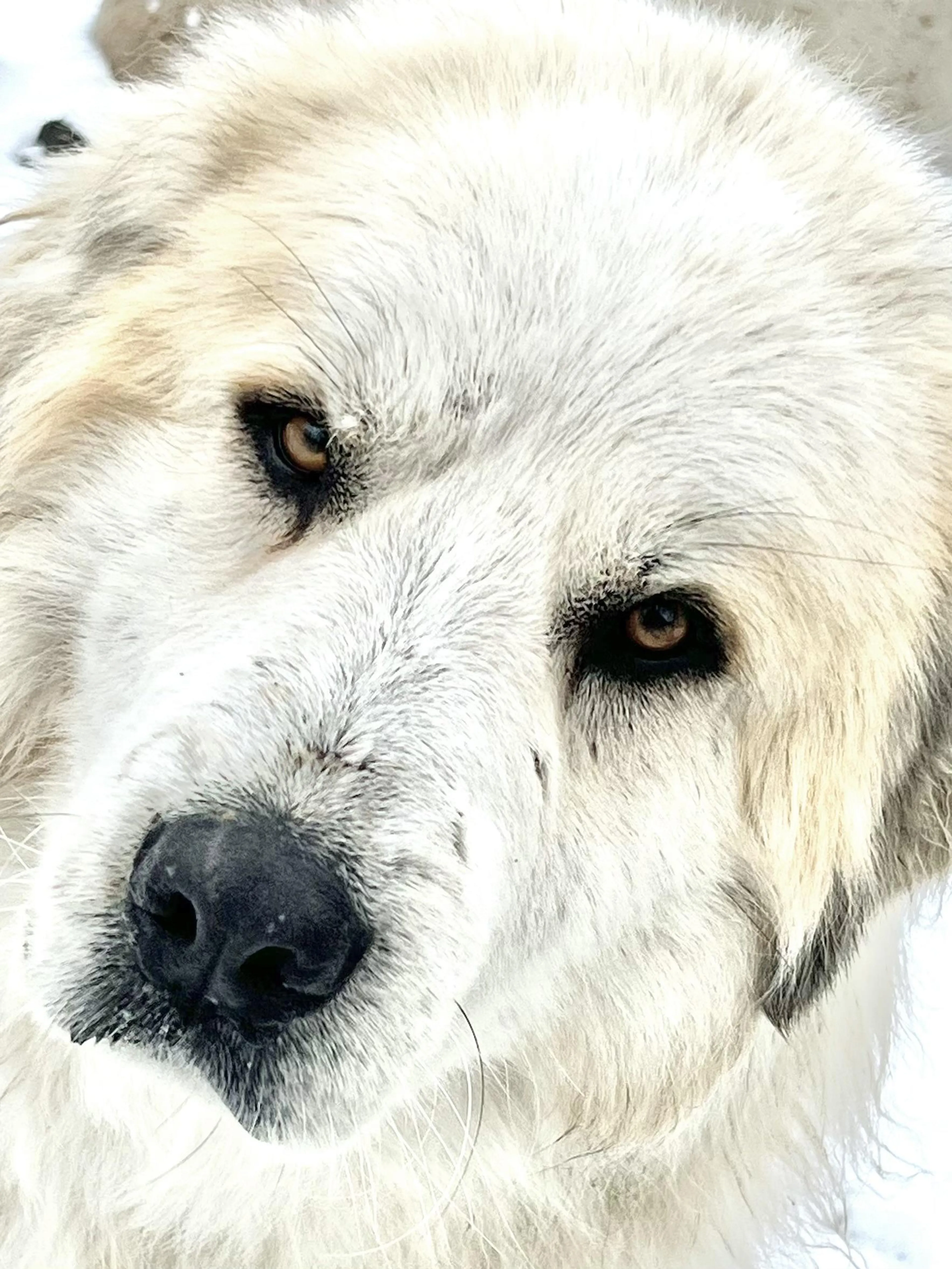 -1