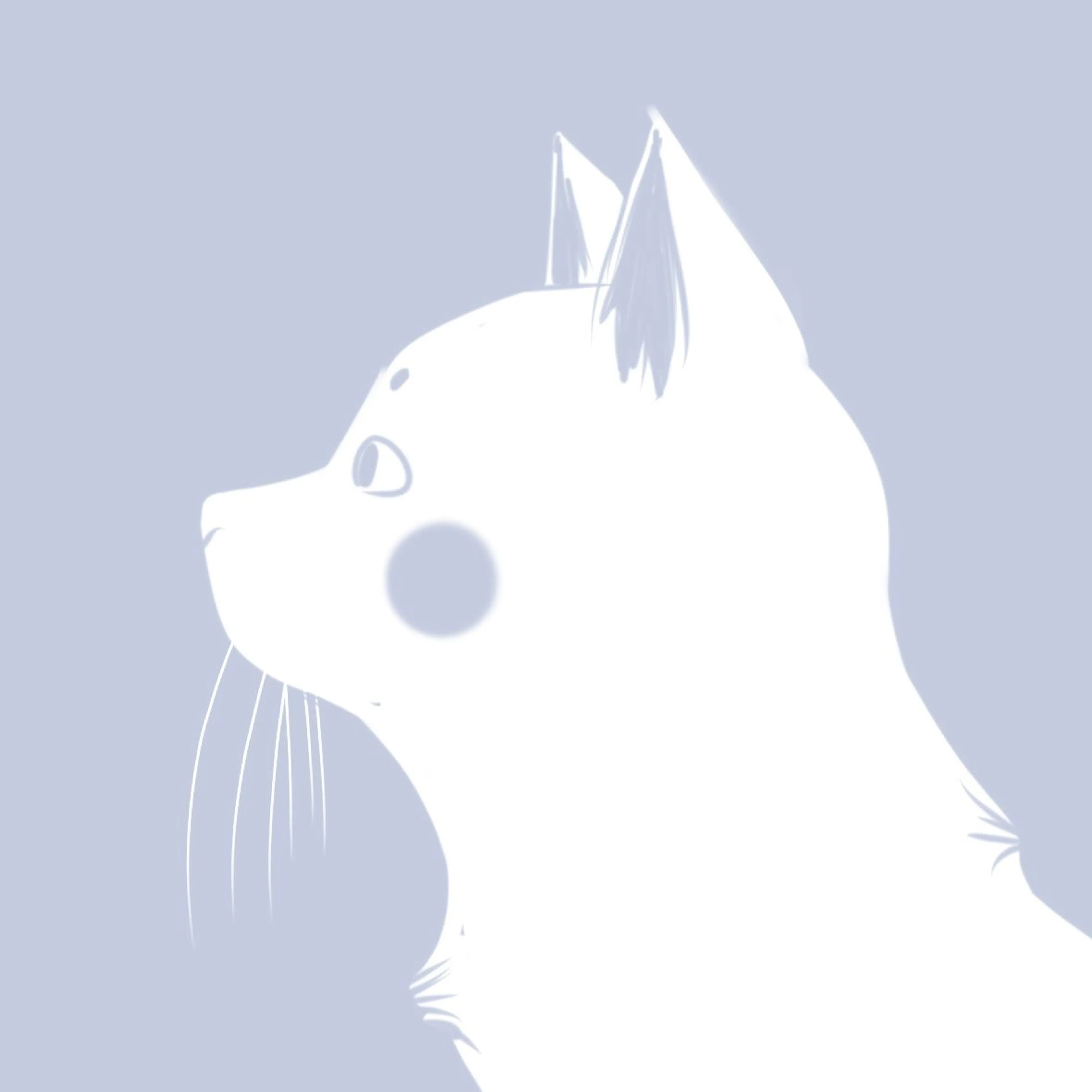 cdn image