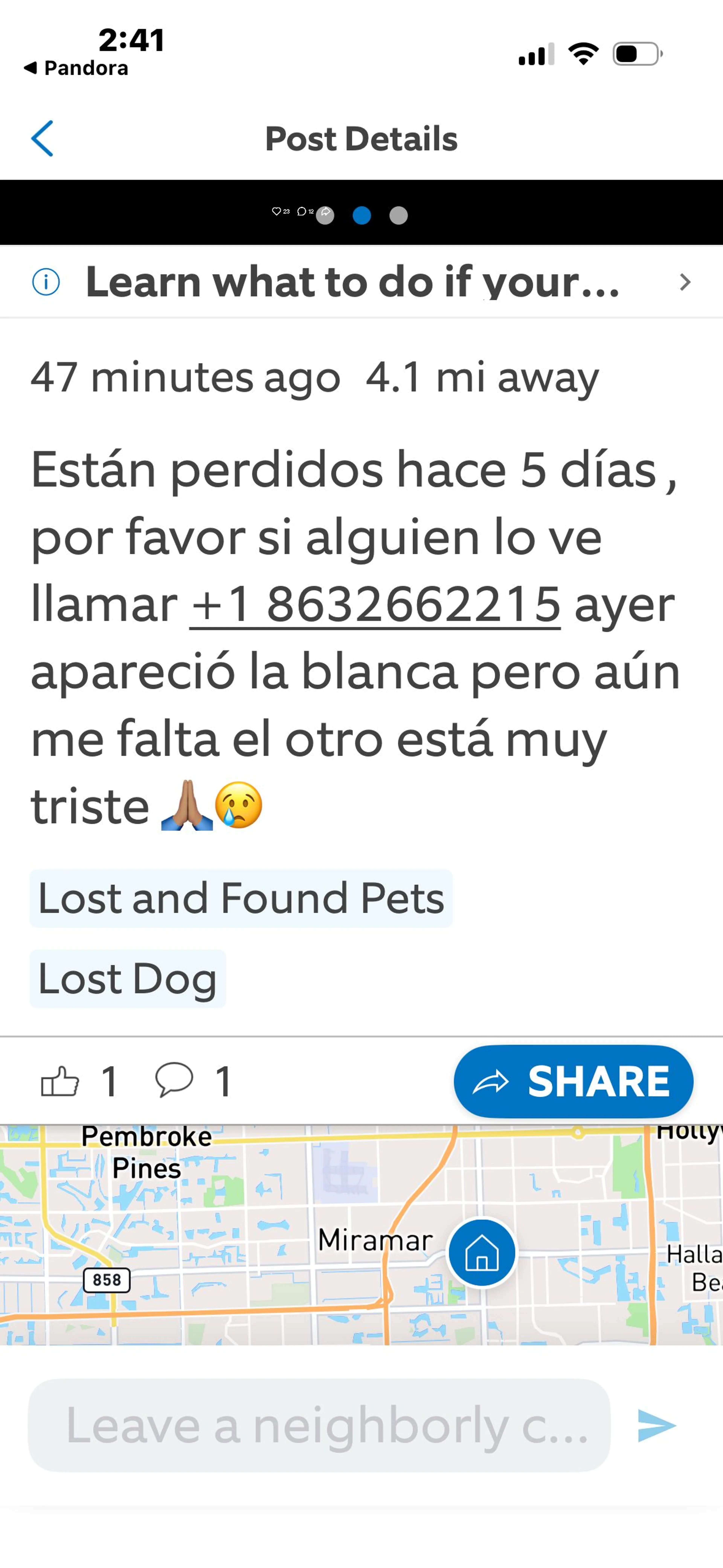 Lost pet-1