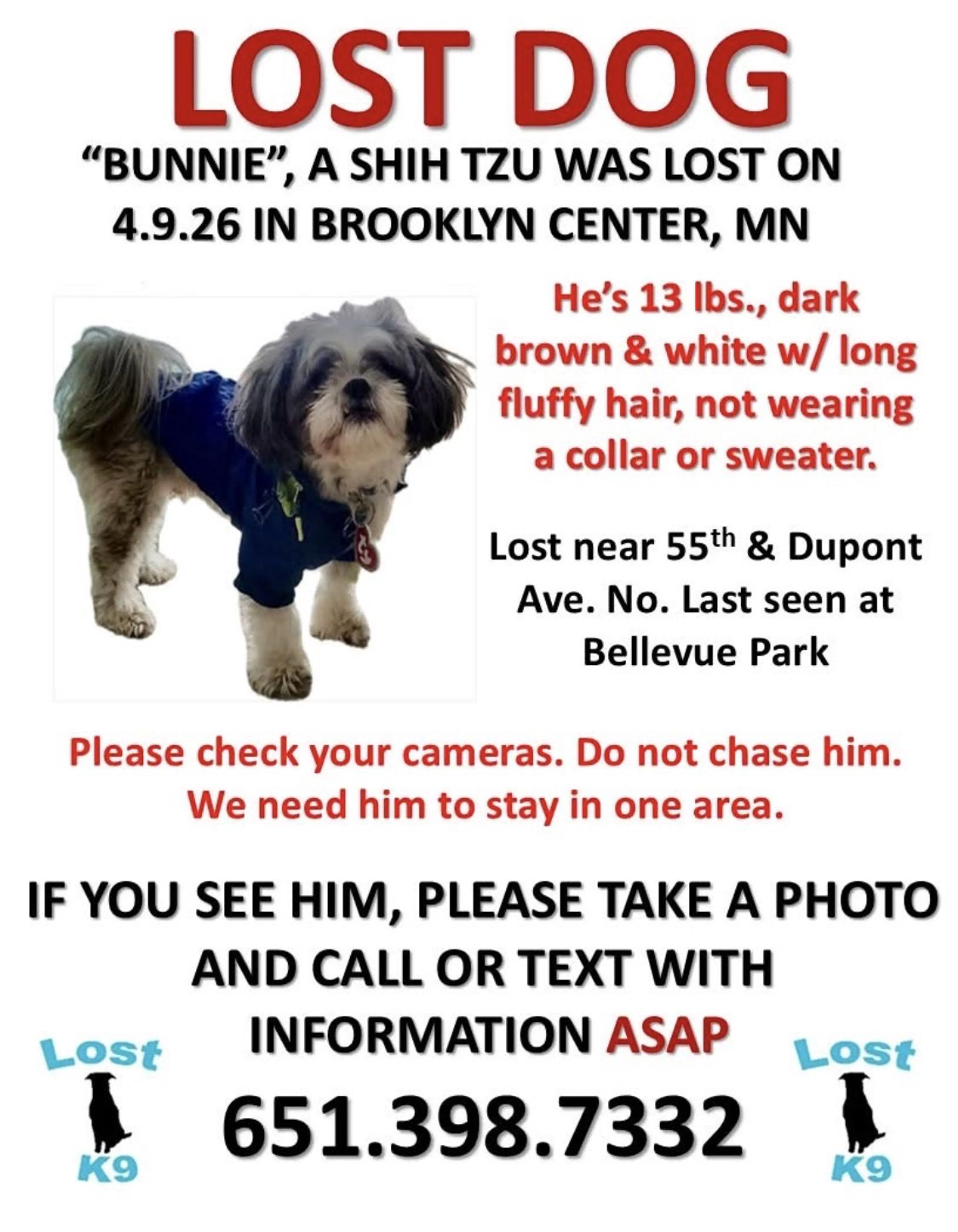 Lost pet