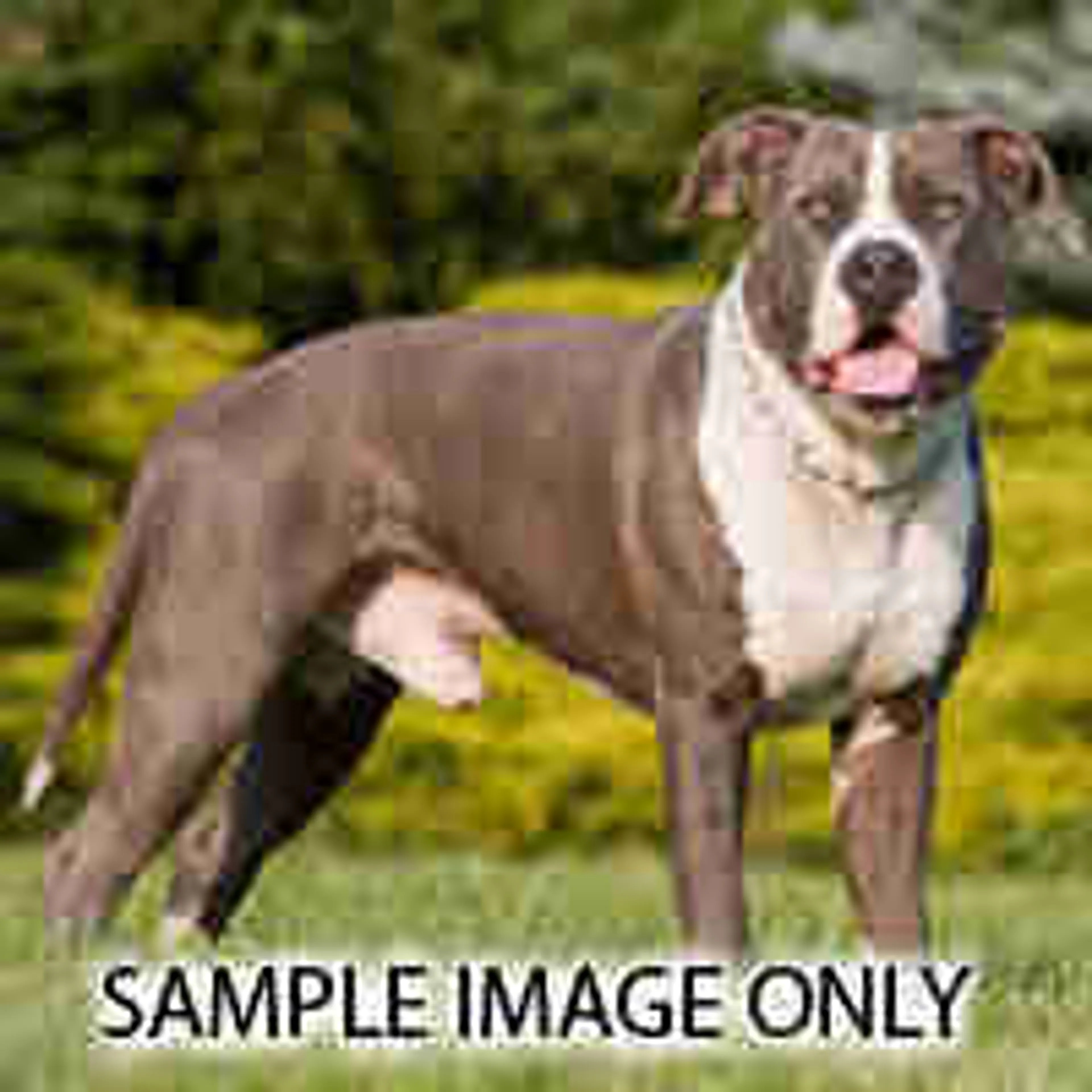 cdn image