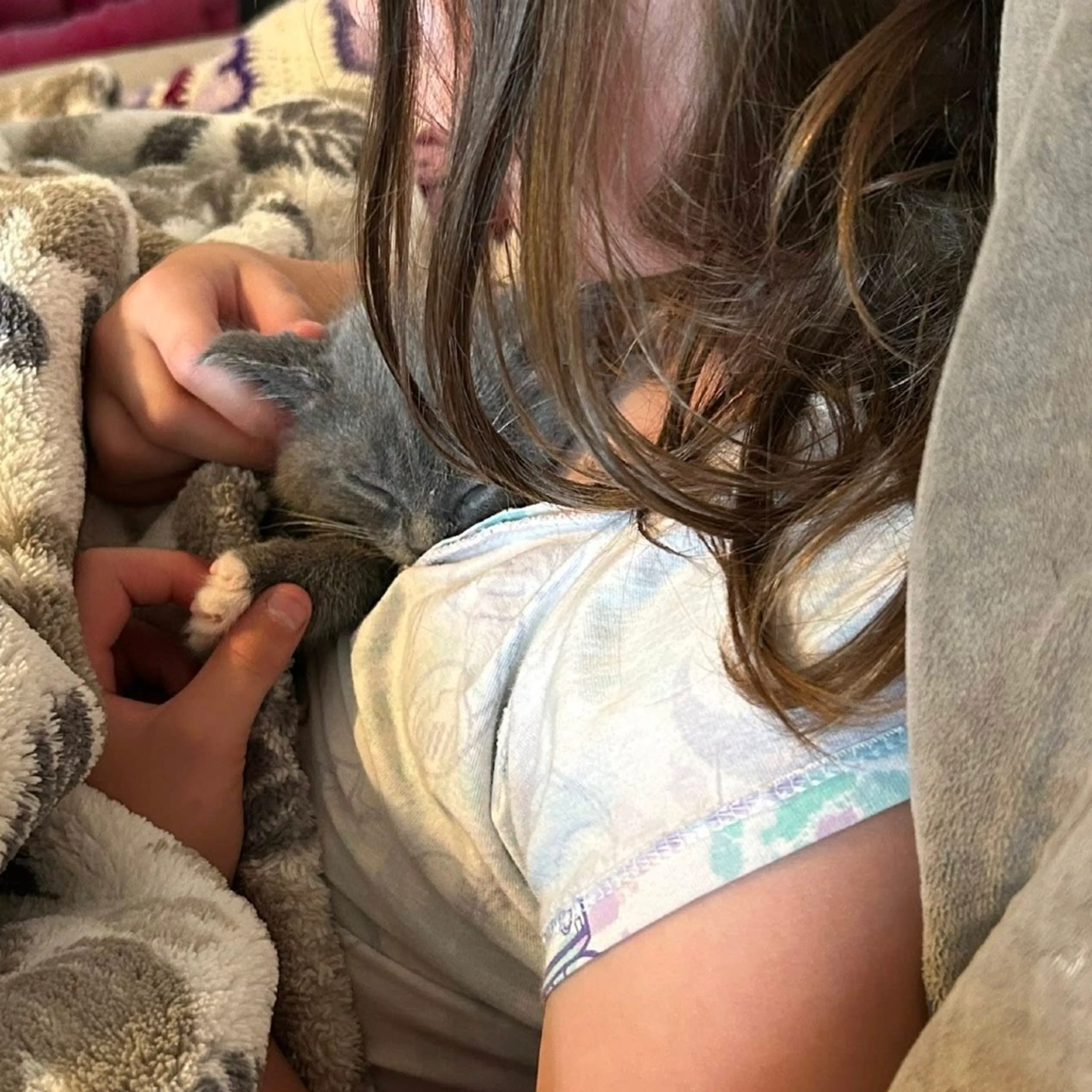 Found pet-1