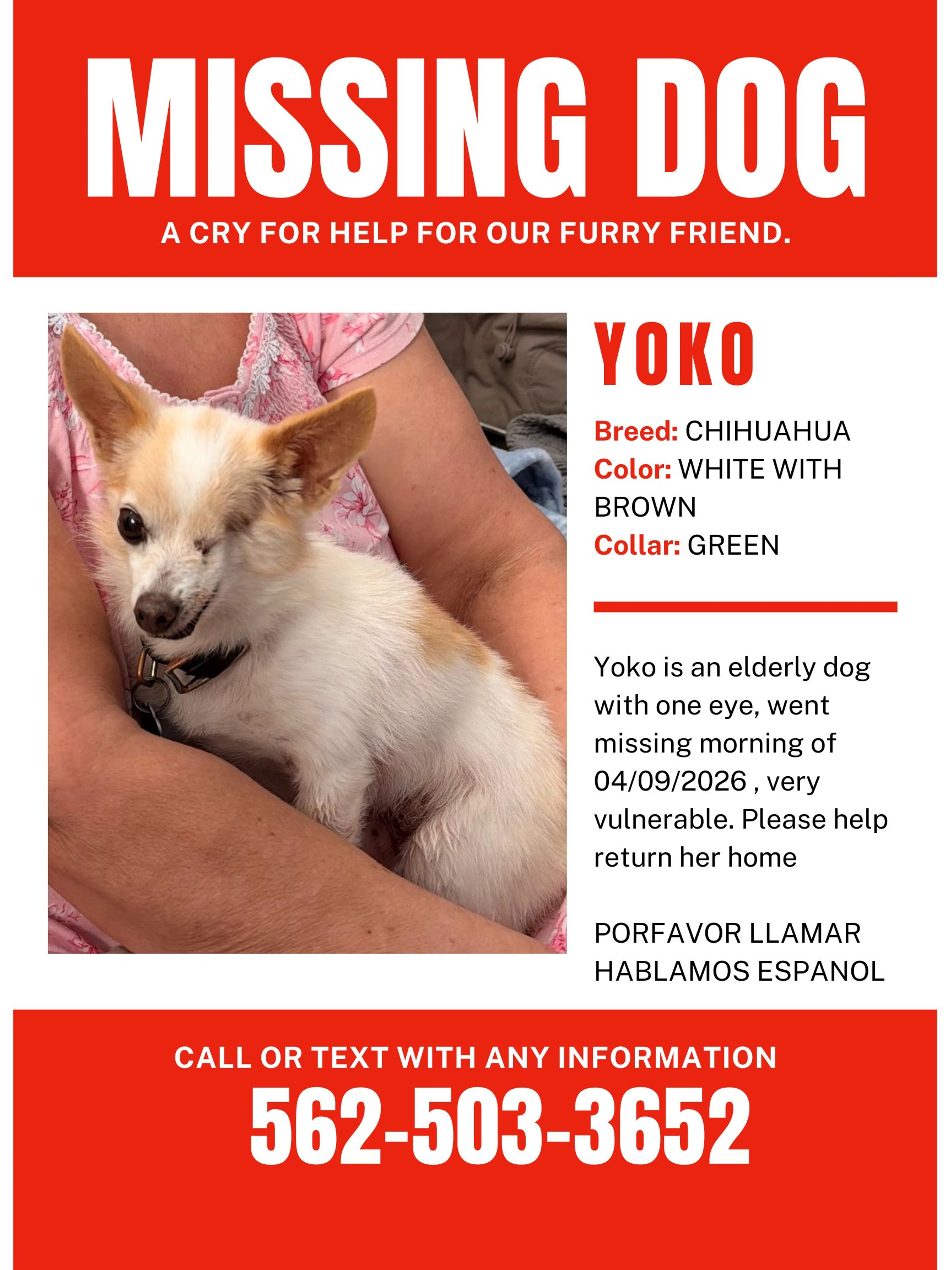 Lost pet
