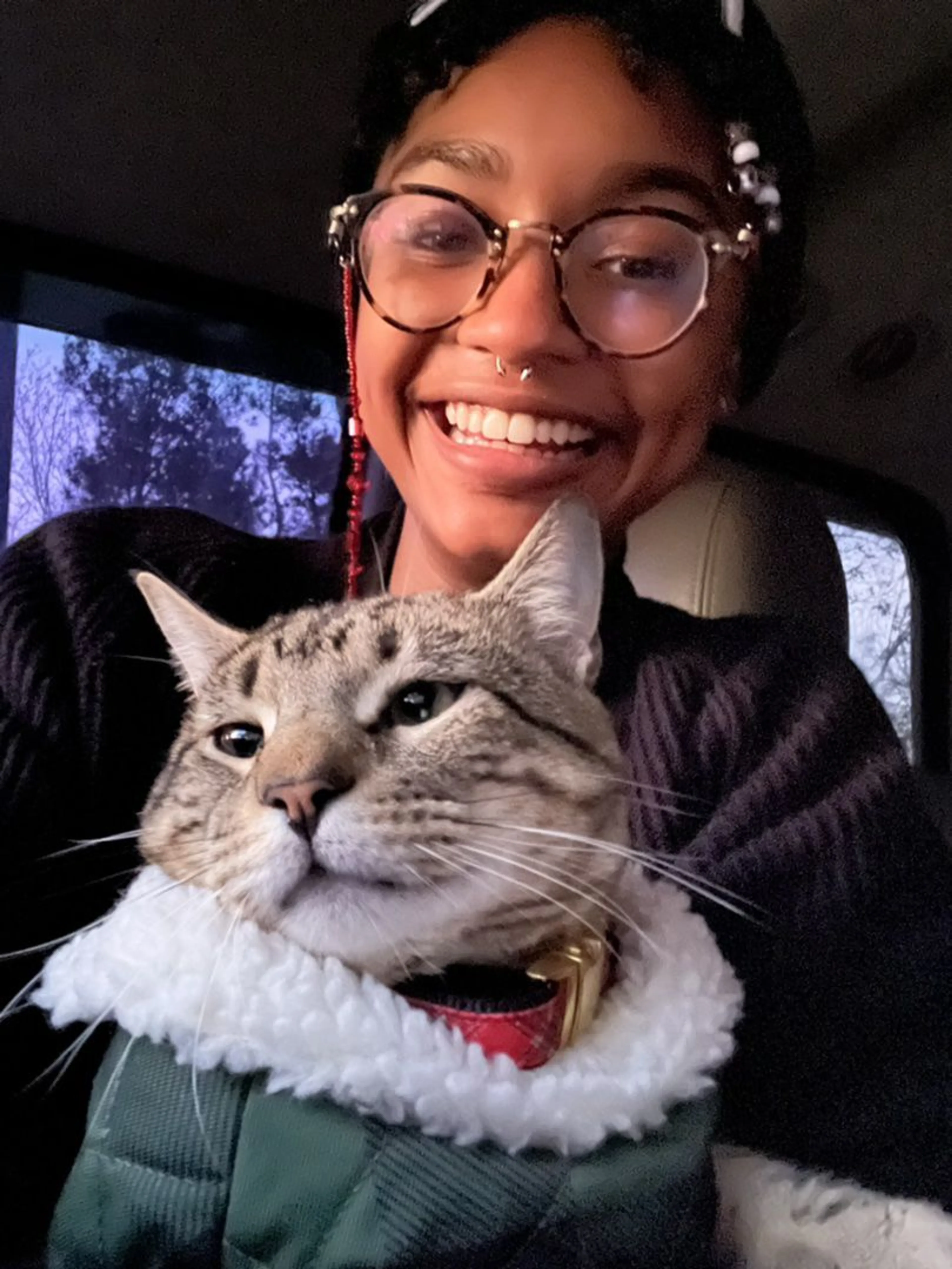 Lost pet-2