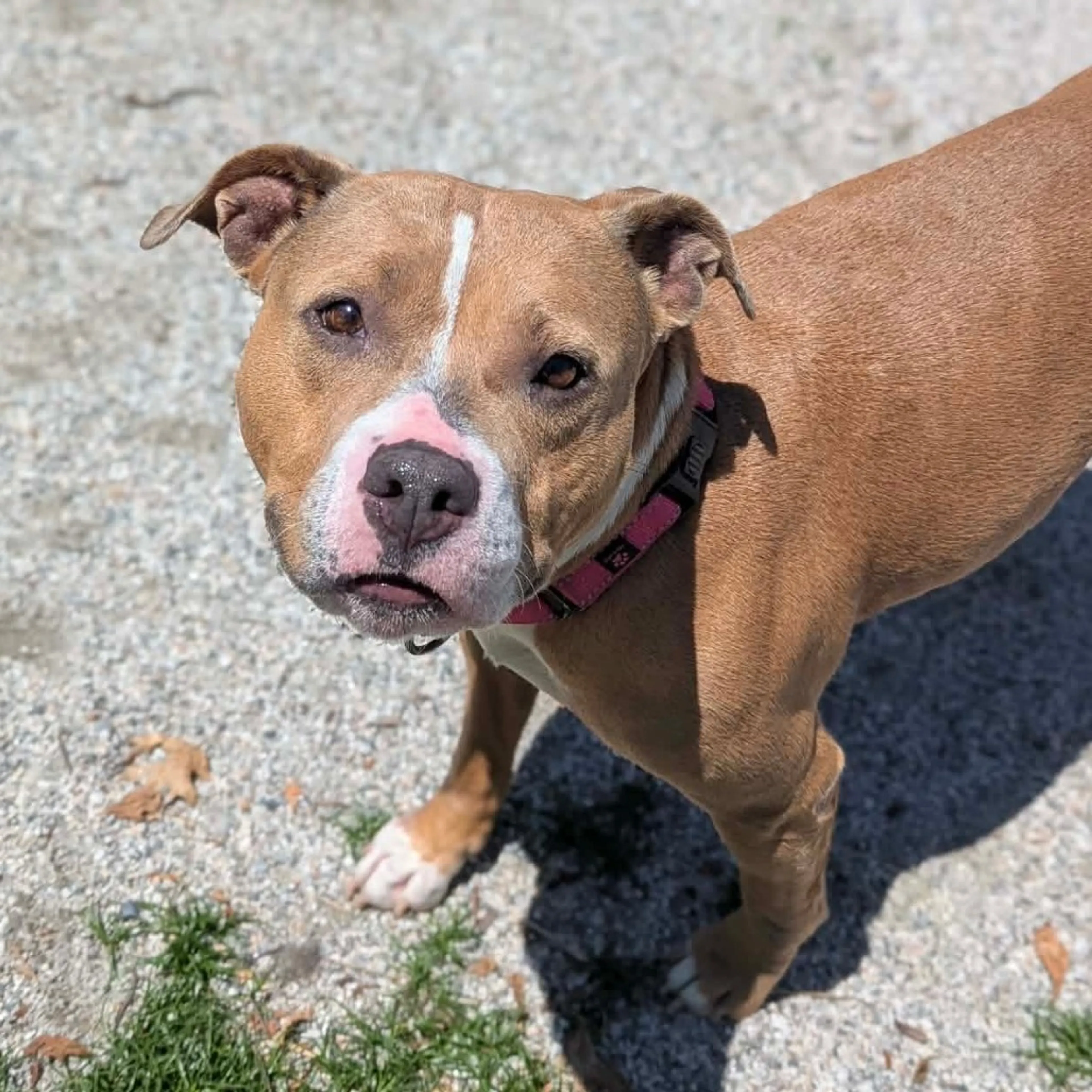 -8